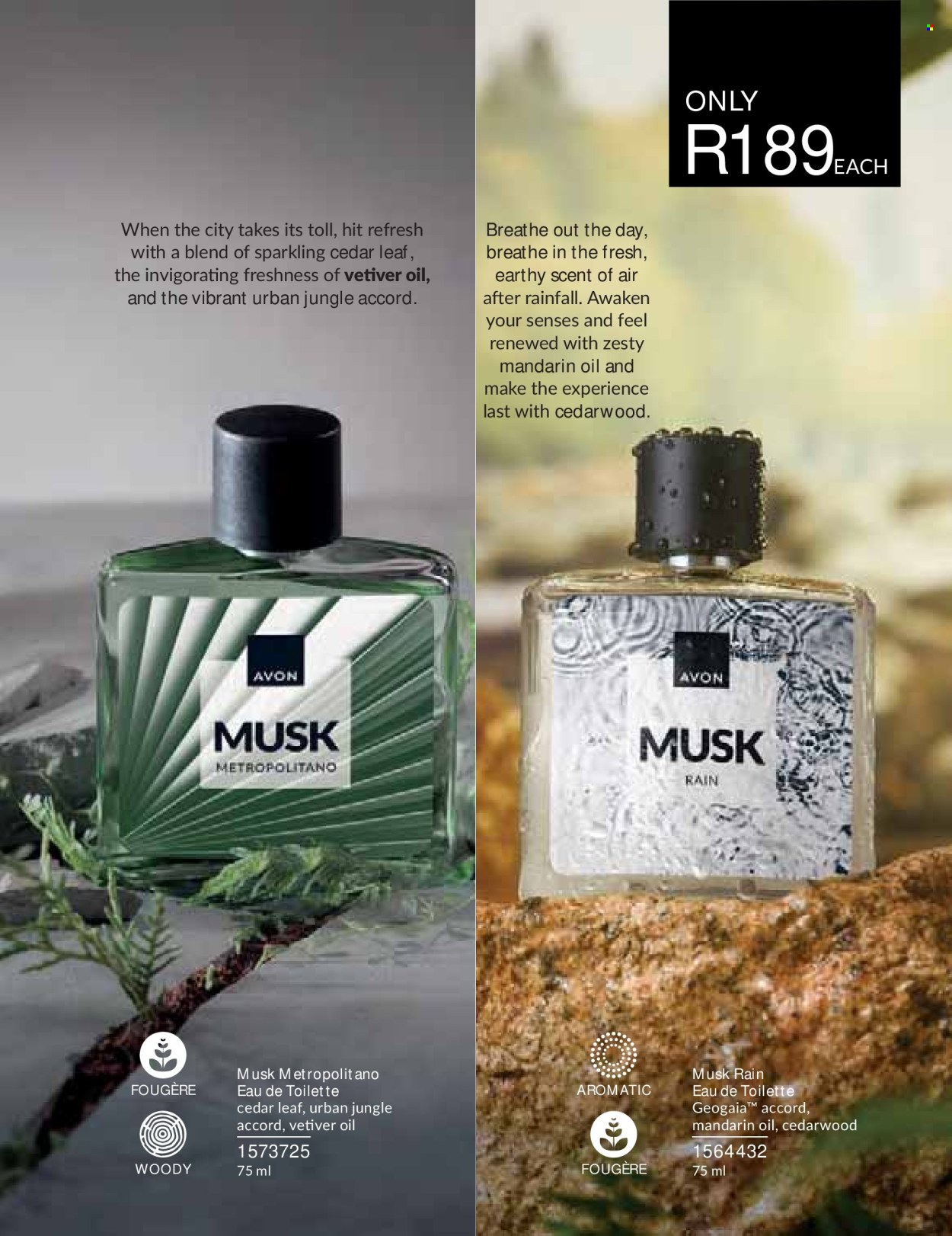 Avon specials - 01/09/2026 - 30/09/2026. Page 81