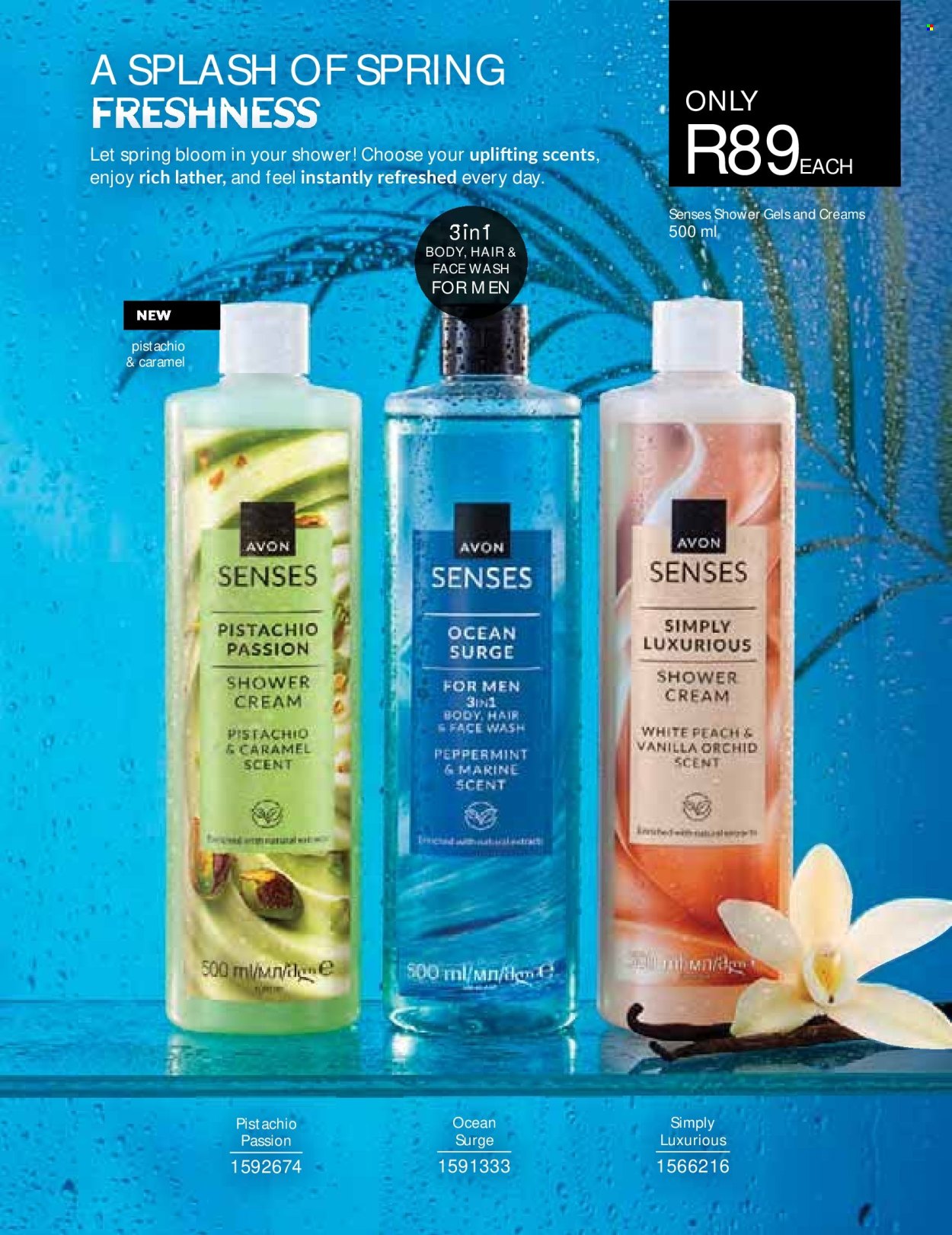 Avon specials - 01/09/2026 - 30/09/2026. Page 131