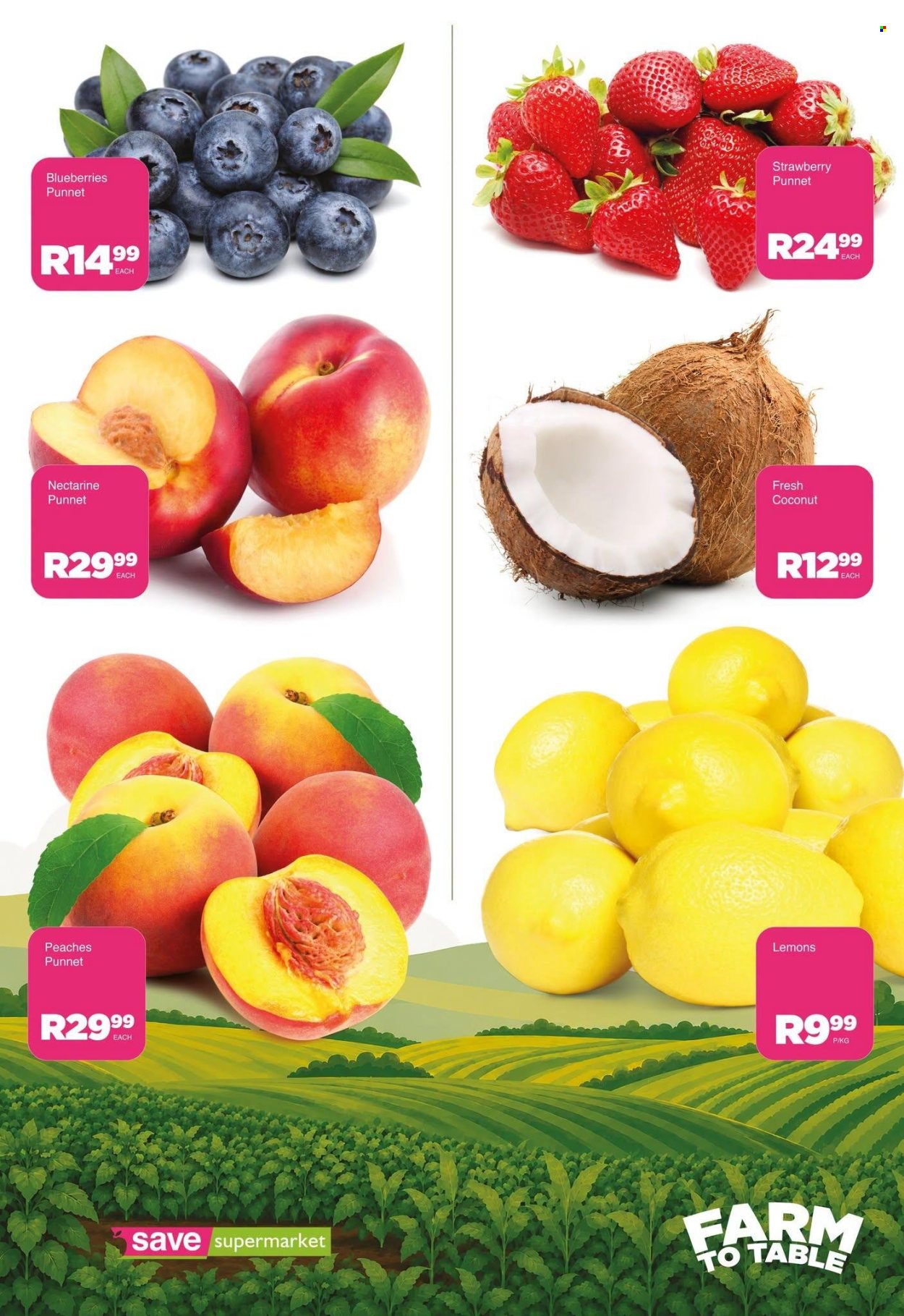 Save supermarket specials - 13/10/2026 - 13/10/2026. Page 5