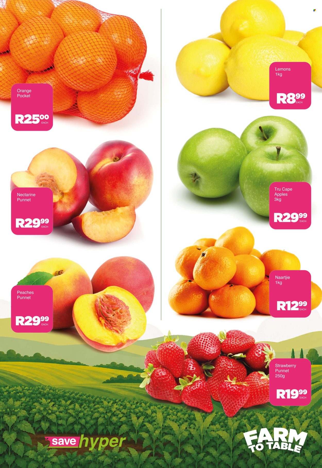 Save hyper specials - 13/10/2026 - 13/10/2026. Page 7