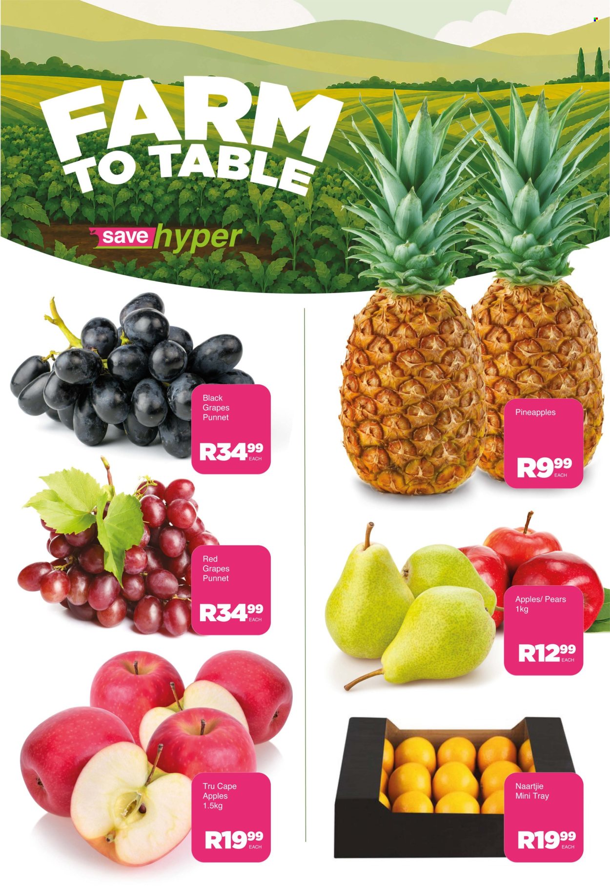 Save hyper specials - 13/10/2026 - 13/10/2026. Page 8