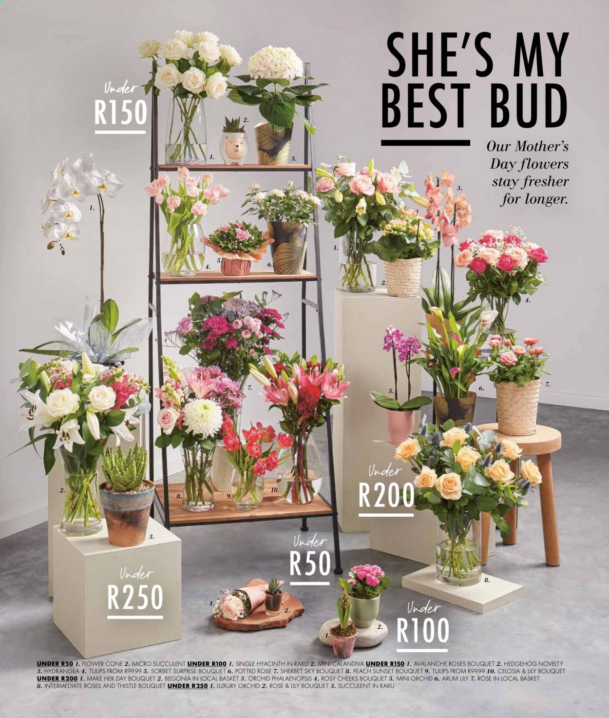 Woolworths specials - 26/04/2021 - 09/05/2021. Page 3