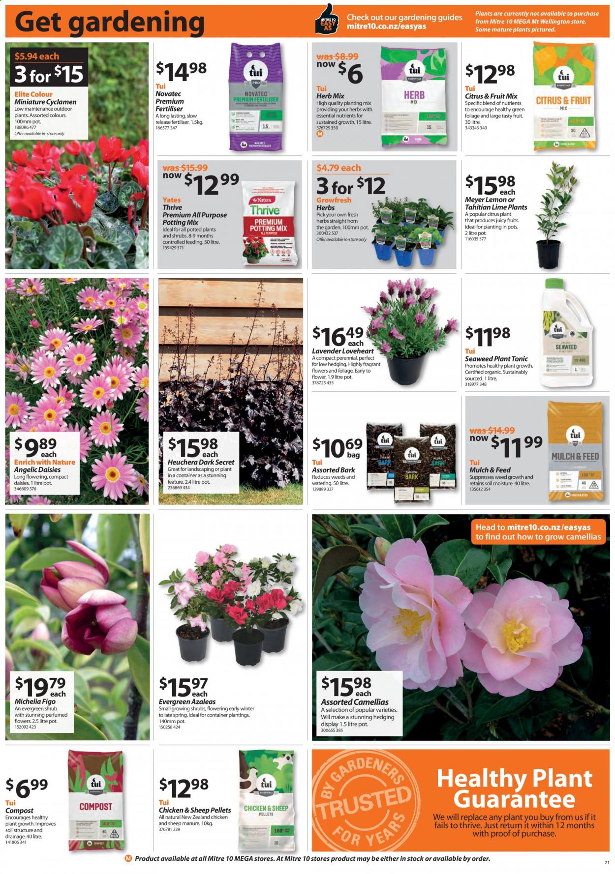 thumbnail - Mitre 10 mailer - 06.05.2021 - 23.05.2021 - Sales products - herbs, Yates, potting mix, Mulch & Feed, garden mulch, compost. Page 21.