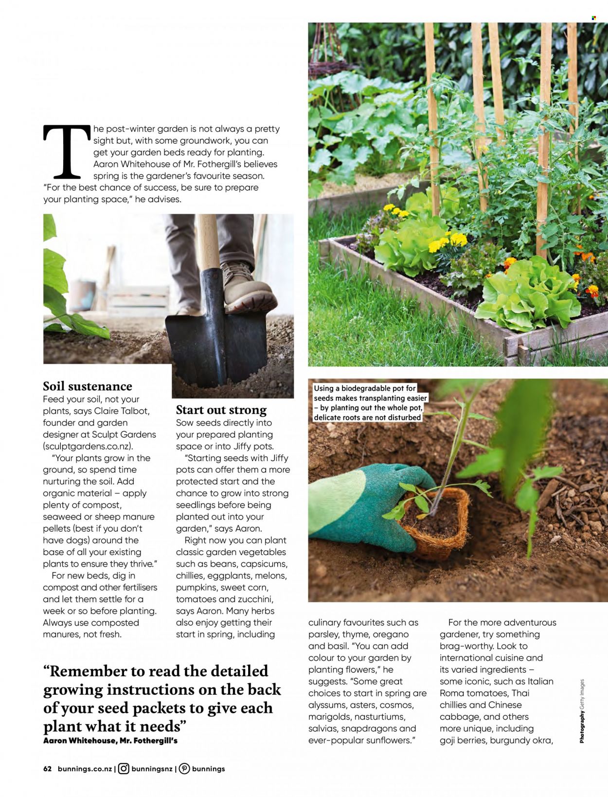 thumbnail - Bunnings Warehouse mailer - Sales products - pot, plant seeds, Jiffy, compost. Page 62.