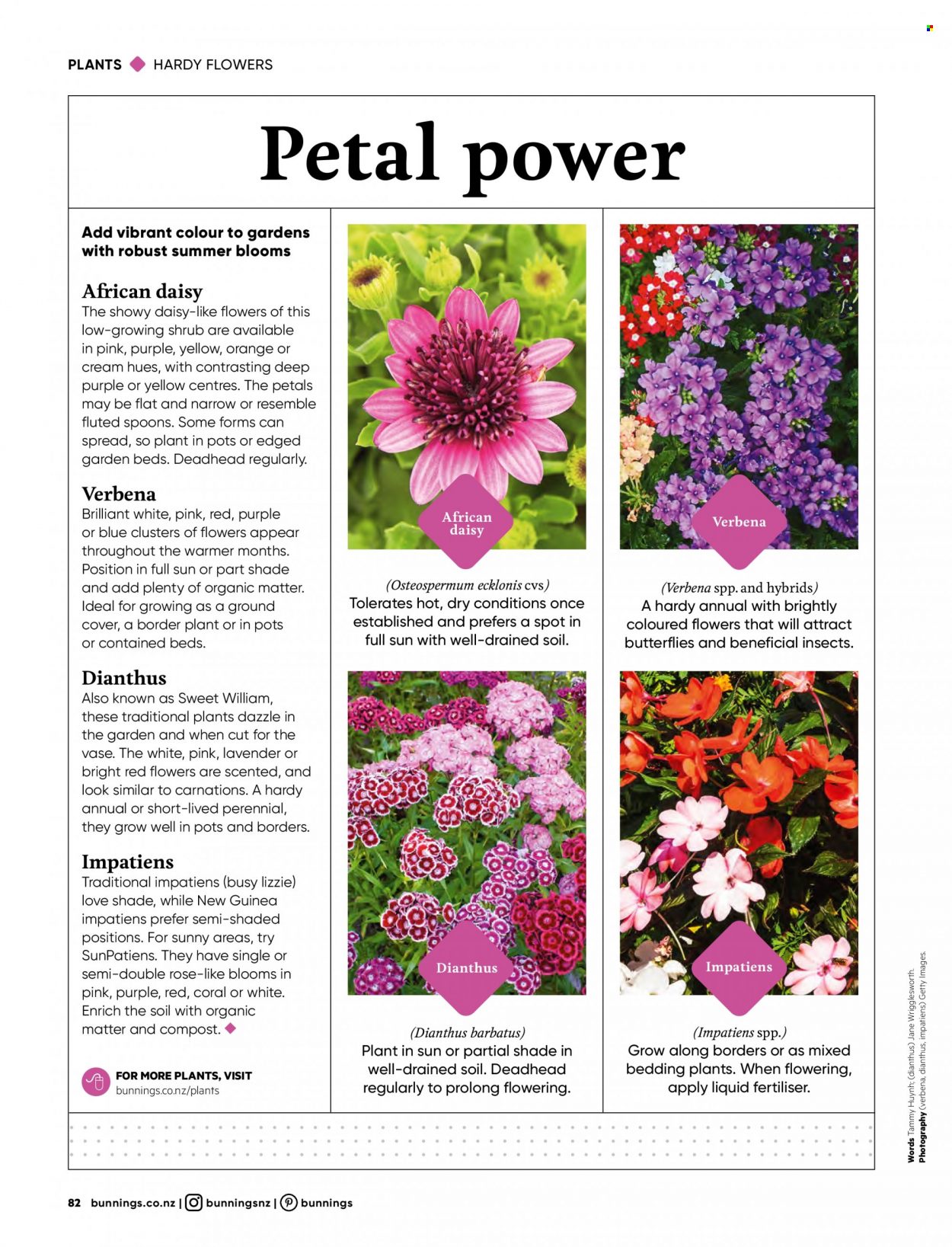 thumbnail - Bunnings Warehouse mailer - Sales products - vase, spoon, pot, bedding, rose, compost. Page 82.