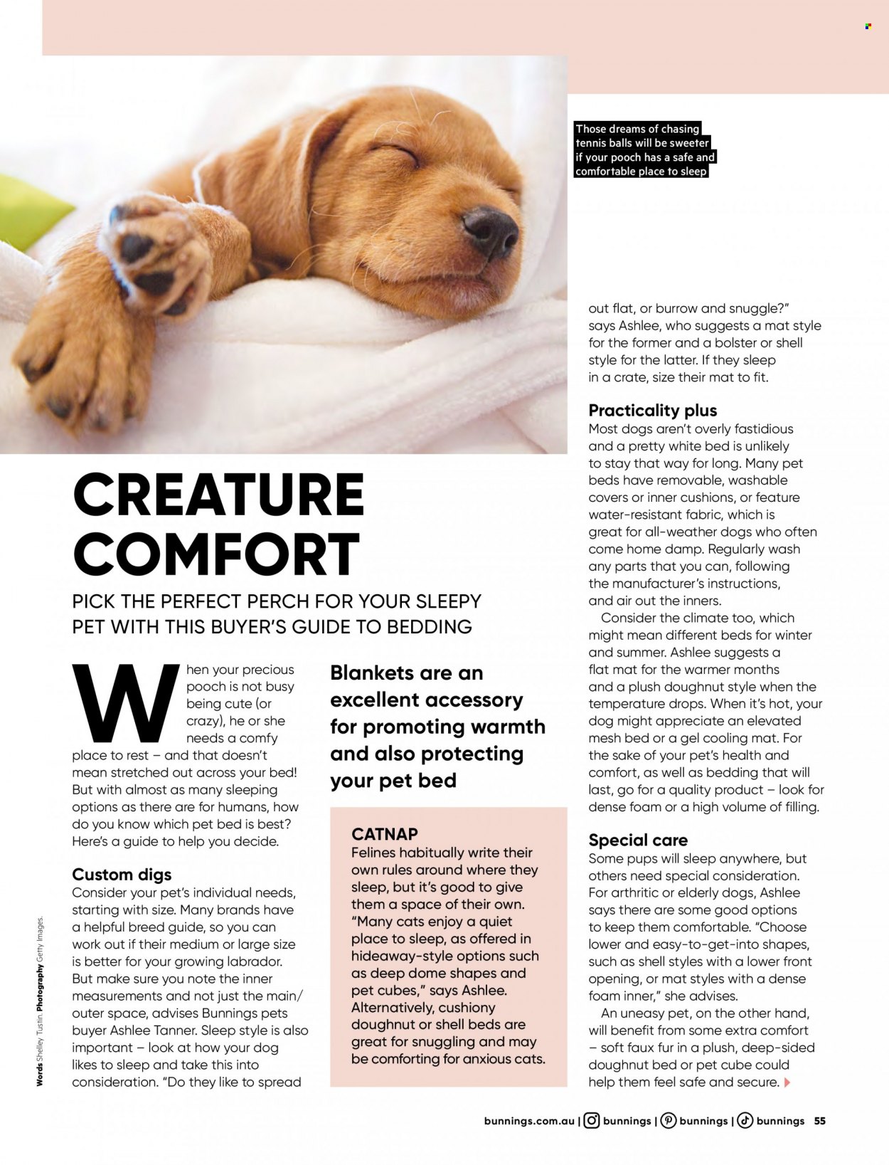 thumbnail - Bunnings Warehouse mailer - 01.04.2023 - 30.04.2023 - Sales products - cushion, bedding, blanket, crate. Page 55.