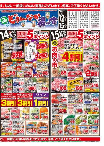 {store} チラシ