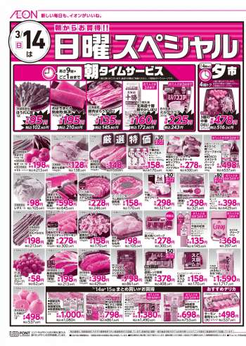 イオン チラシ