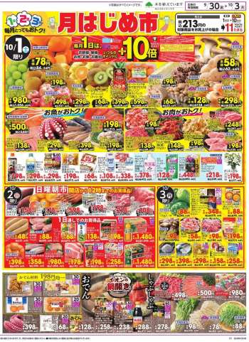 イオン チラシ