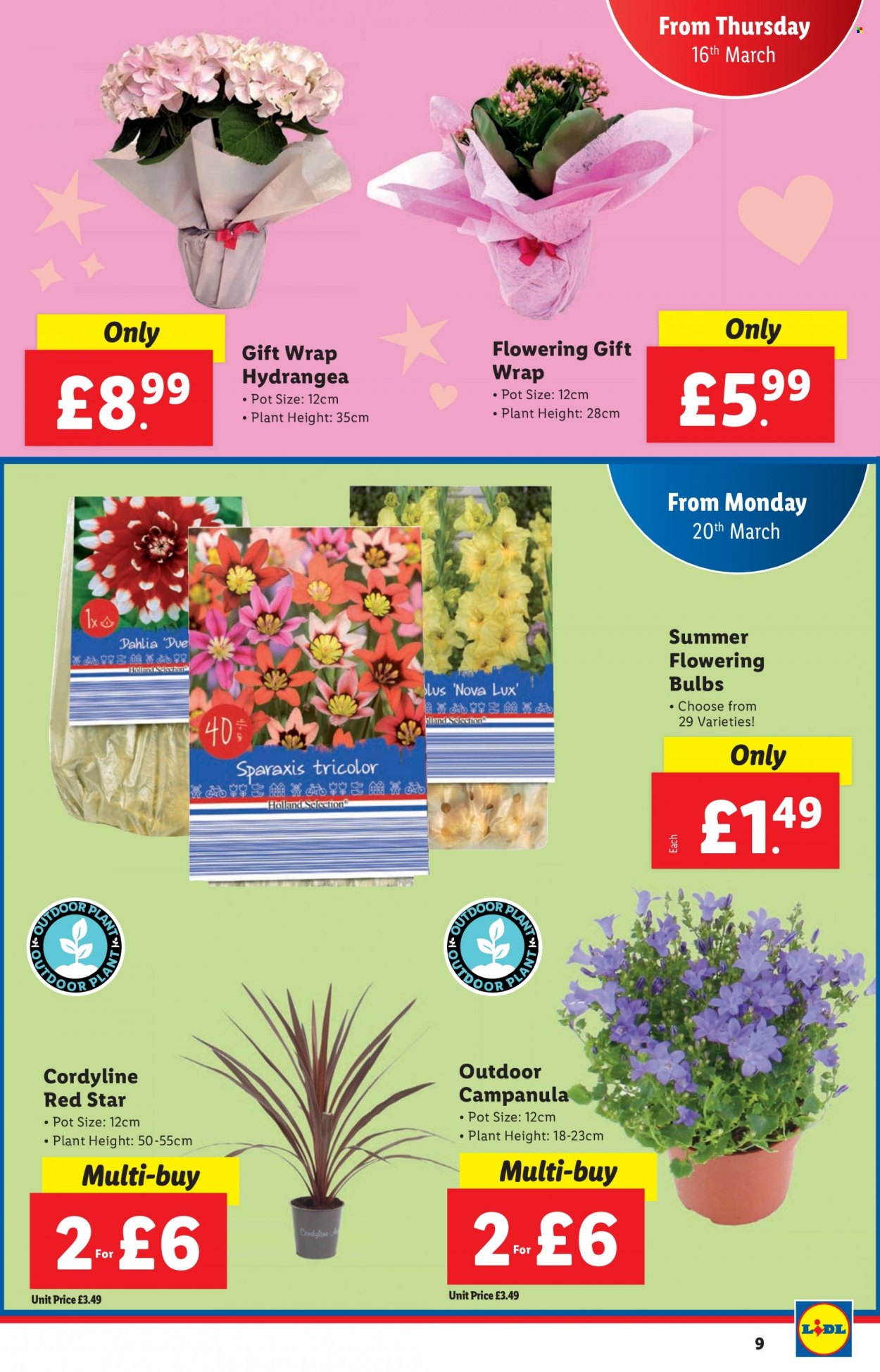Lidl offer - 16/03/2023 - 22/03/2023. Page 9