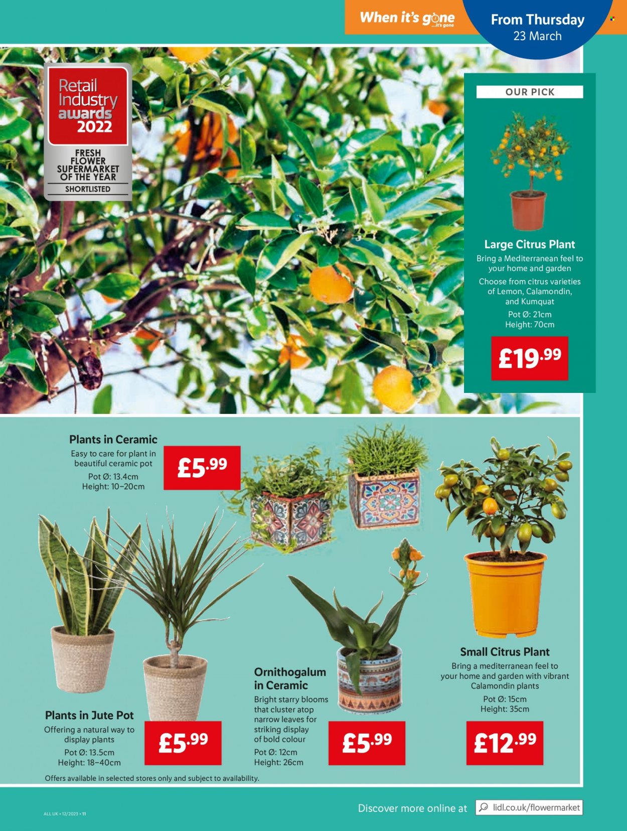 Lidl offer - 23/03/2023 - 29/03/2023. Page 15