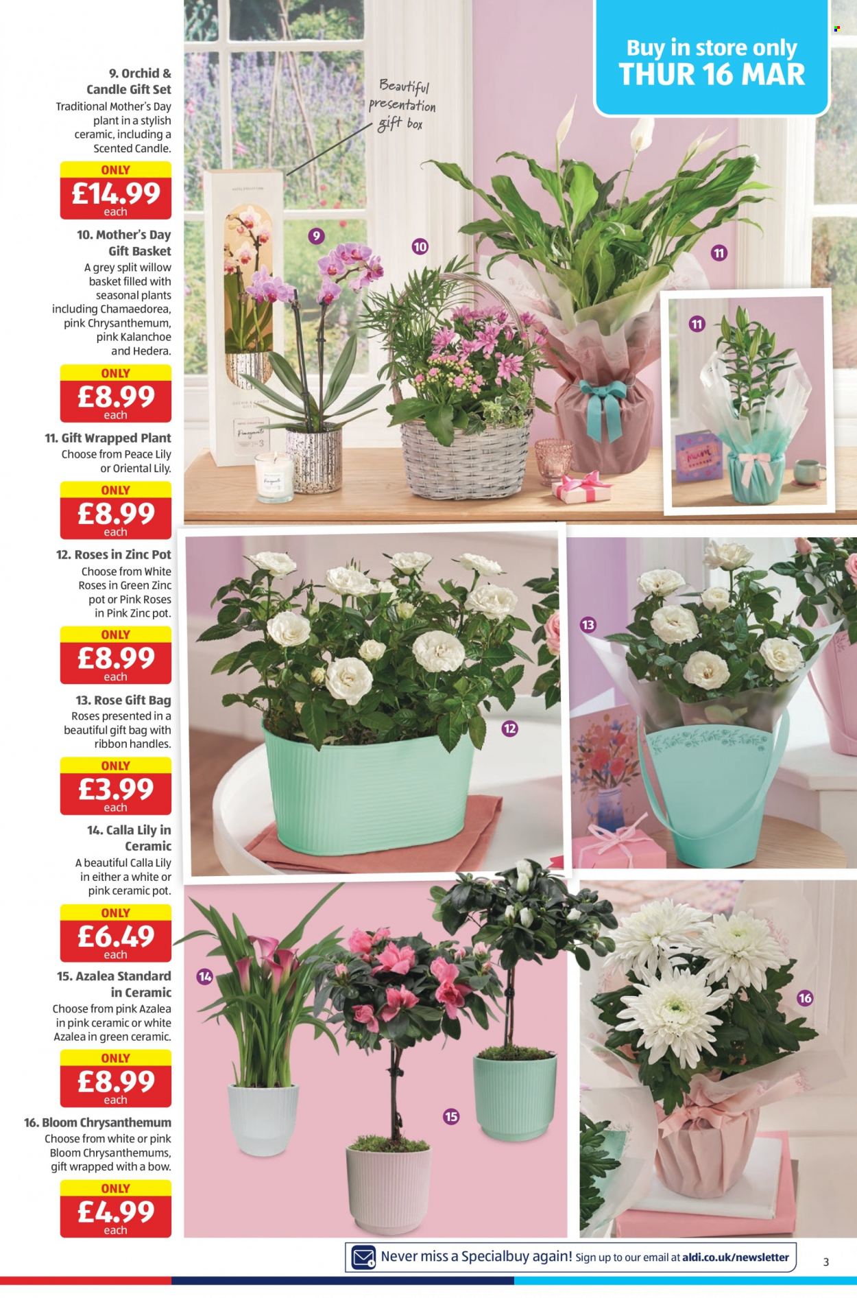 Aldi offer - 19/03/2023 - 26/03/2023. Page 3