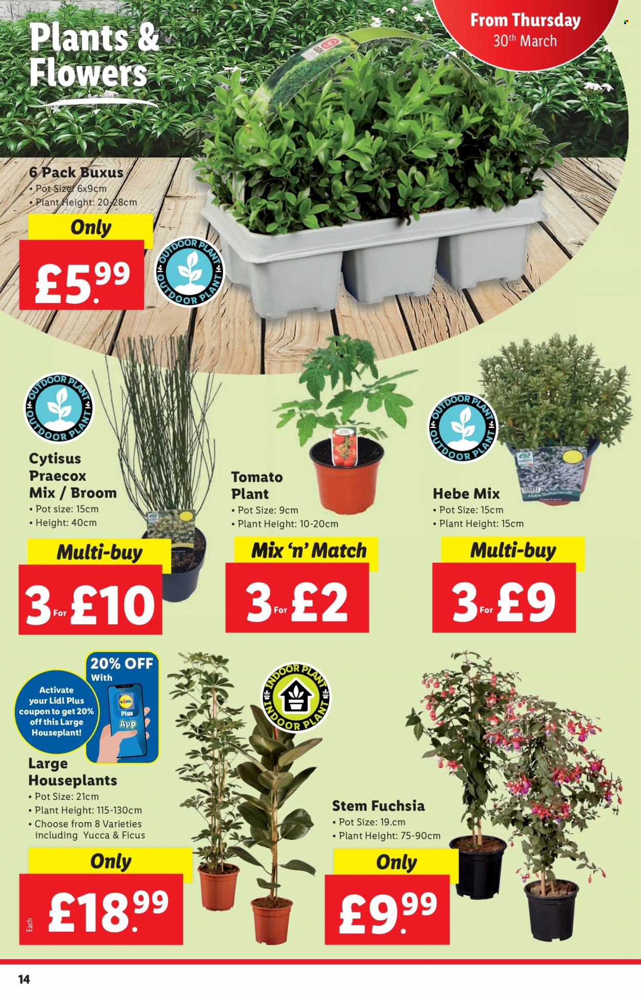 Lidl offer - 30/03/2023 - 05/04/2023. Page 14