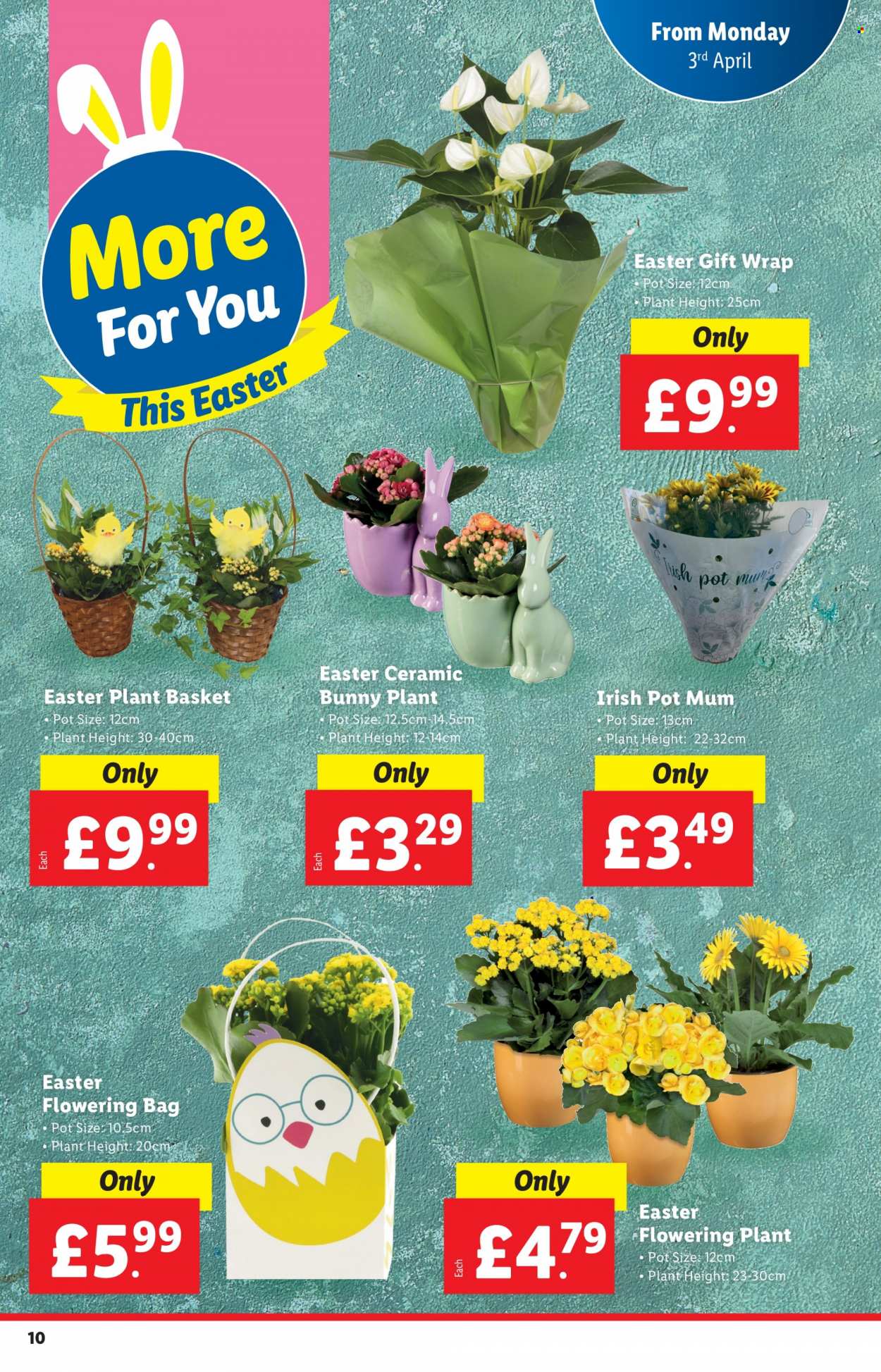 Lidl offer. Page 10