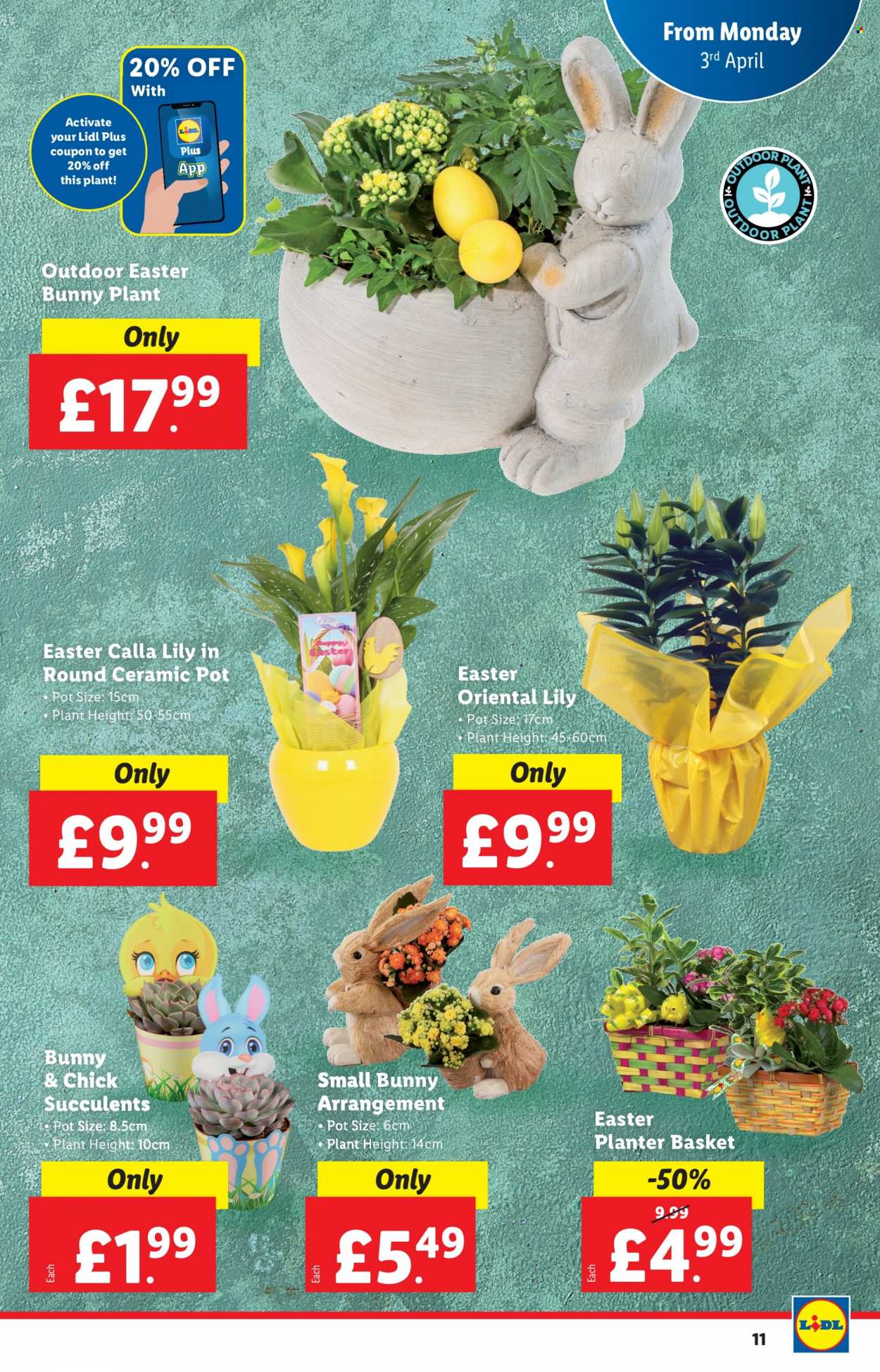 Lidl offer. Page 11