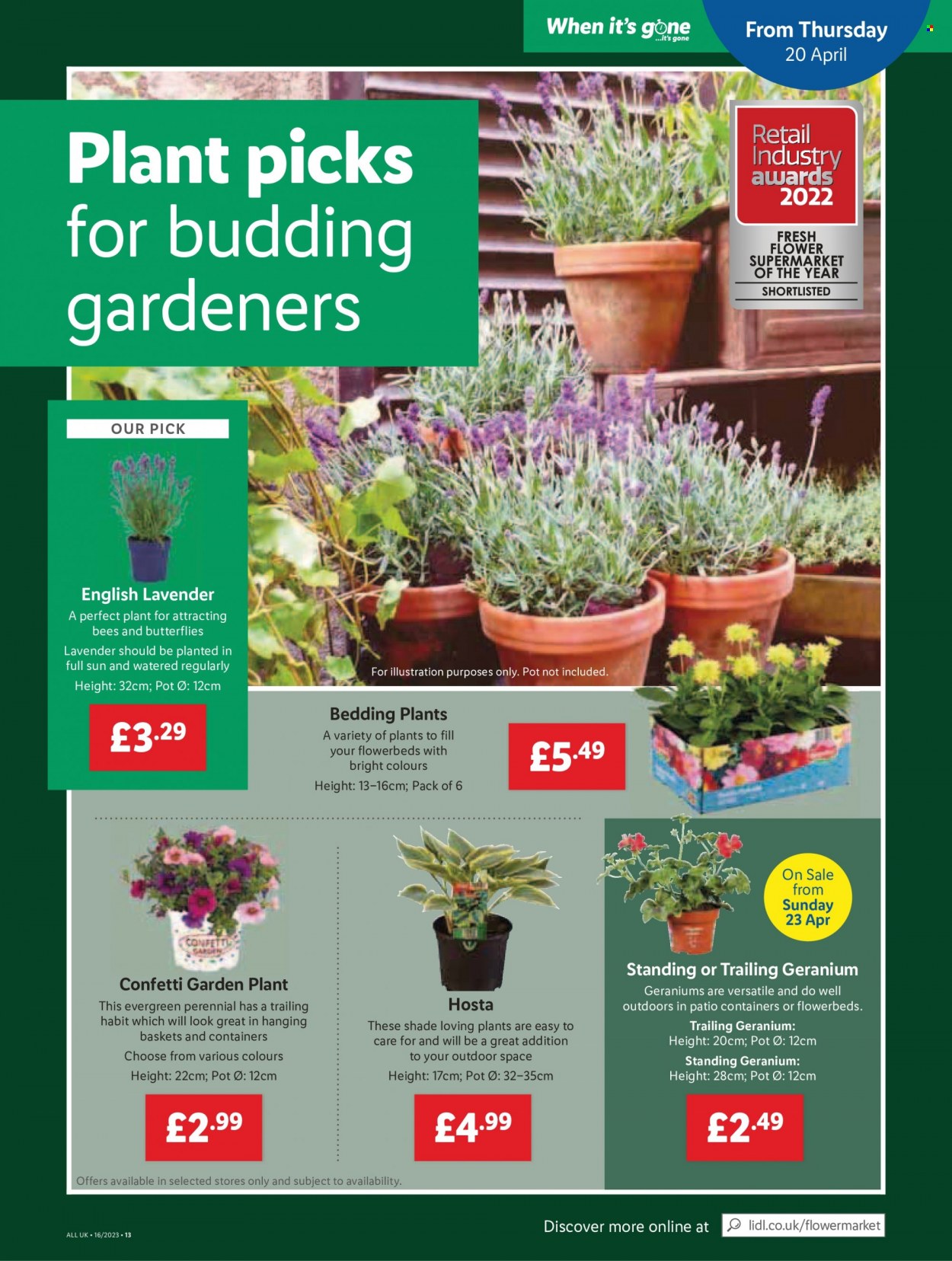 Lidl offer - 20/04/2023 - 26/04/2023. Page 15