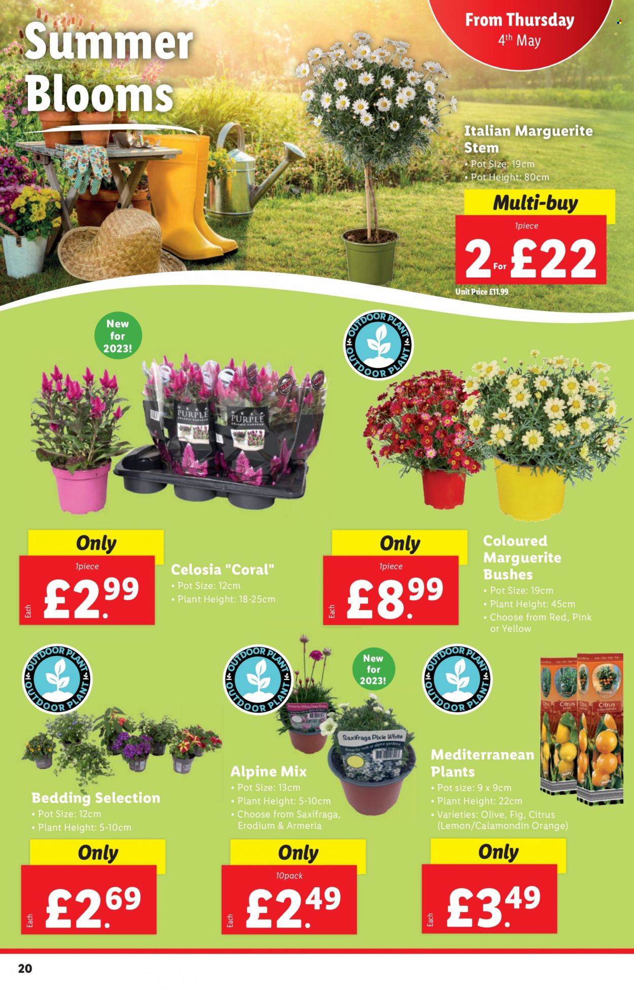 Lidl offer - 04/05/2023 - 10/05/2023. Page 20