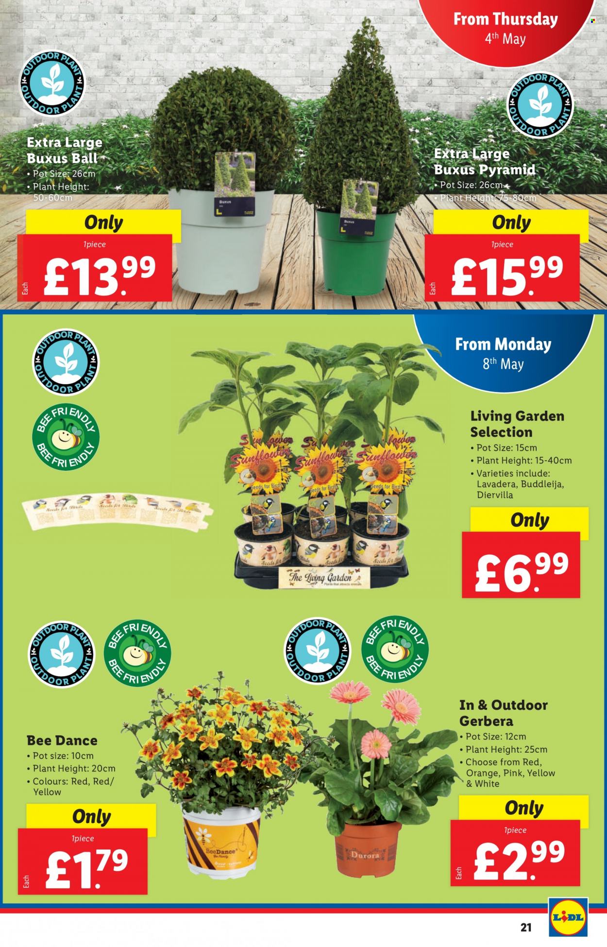 Lidl offer - 04/05/2023 - 10/05/2023. Page 21