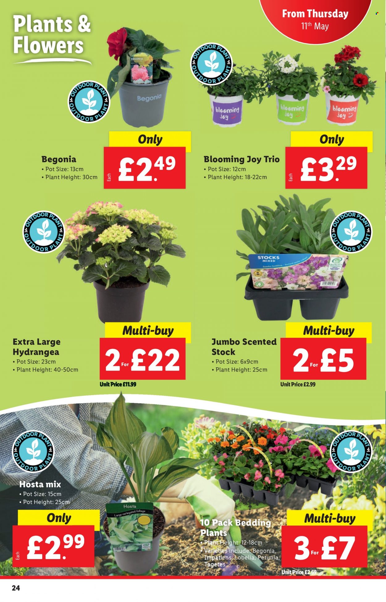 Lidl offer - 11/05/2023 - 17/05/2023. Page 24