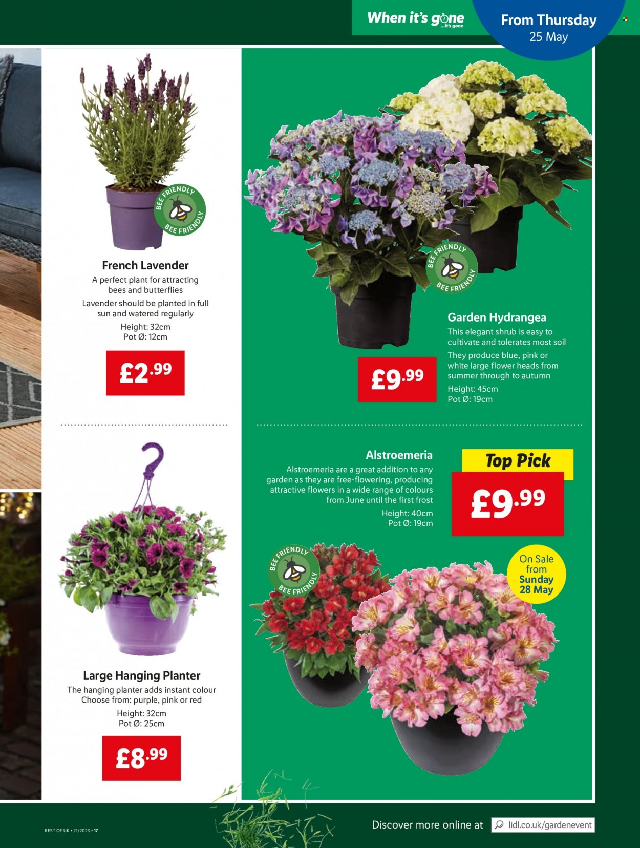 Lidl offer - 25/05/2023 - 31/05/2023. Page 21