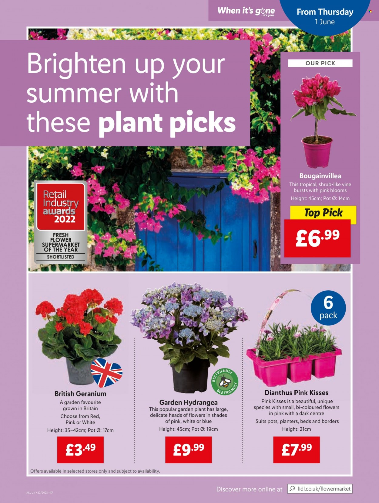 Lidl offer - 01/06/2023 - 07/06/2023. Page 23