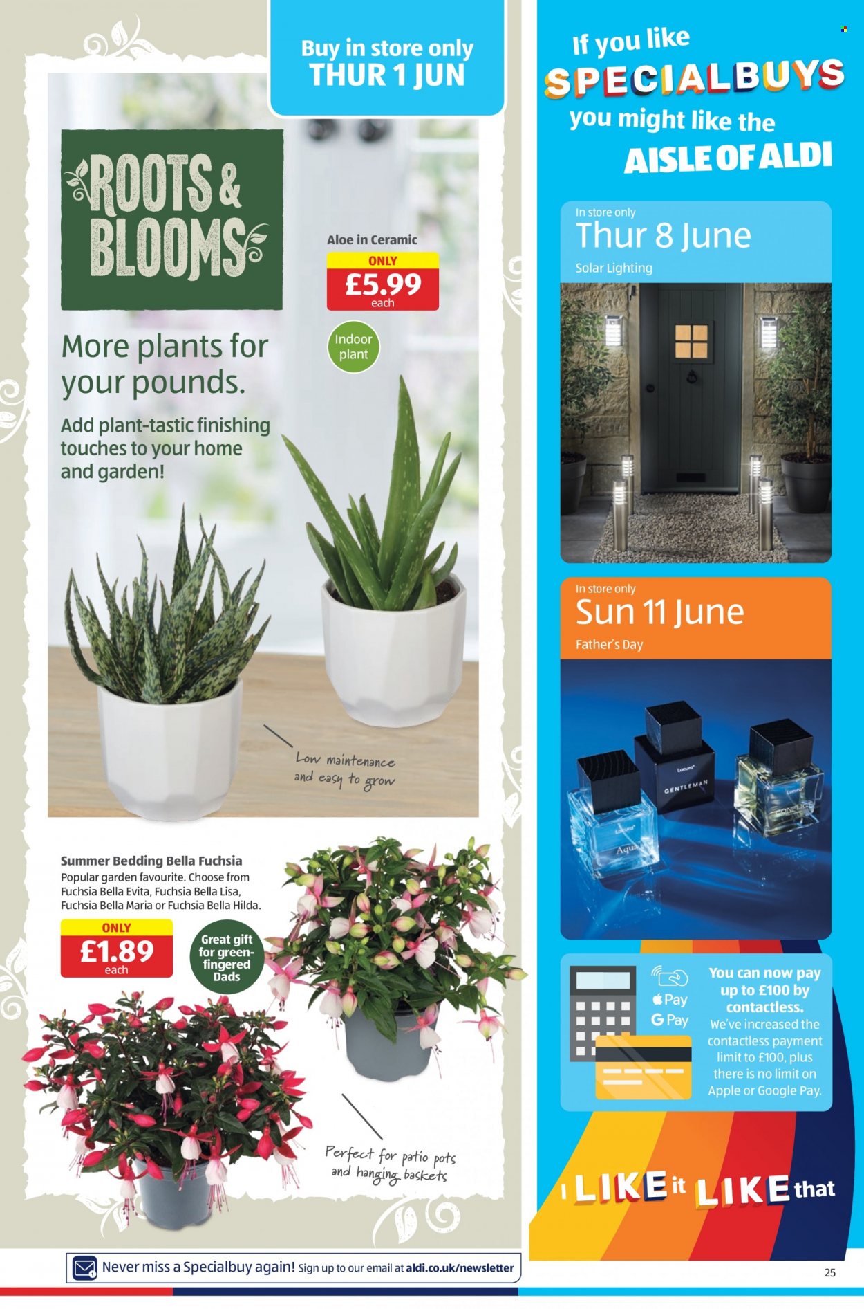 Aldi offer - 28/05/2023 - 04/06/2023. Page 25