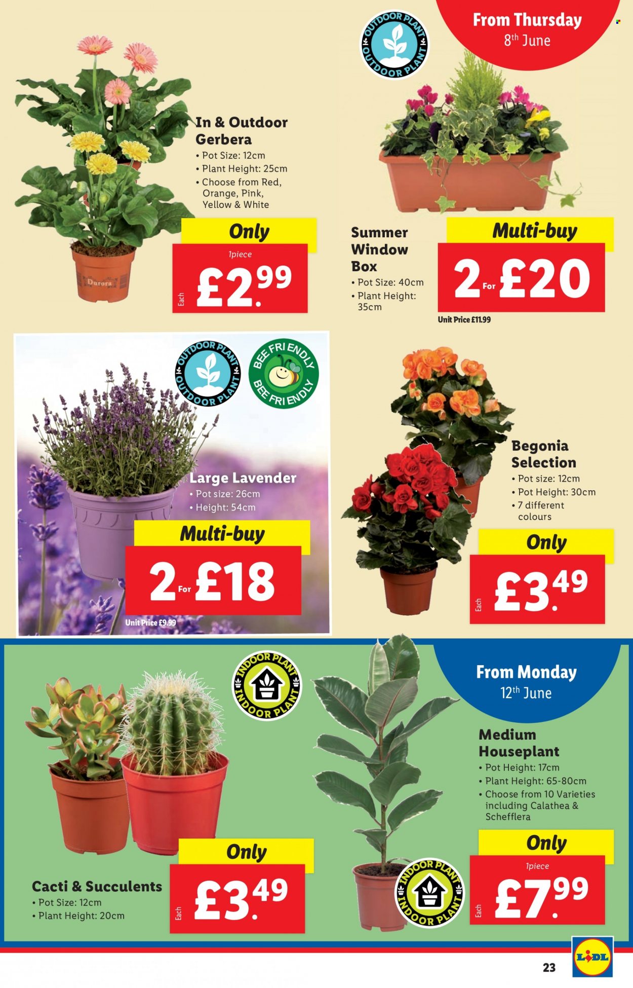 Lidl offer - 08/06/2023 - 14/06/2023. Page 23