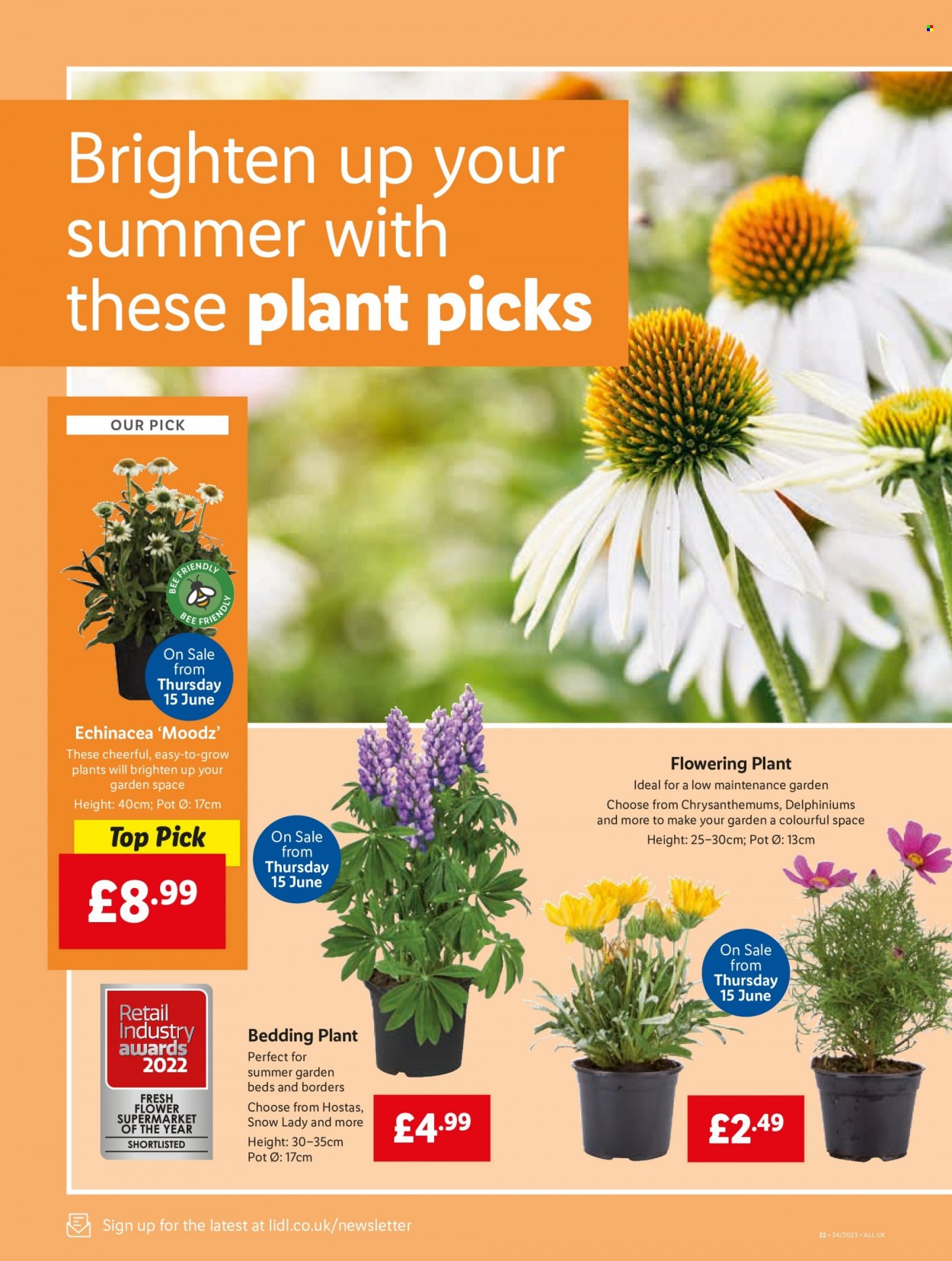 Lidl offer - 15/06/2023 - 21/06/2023. Page 28