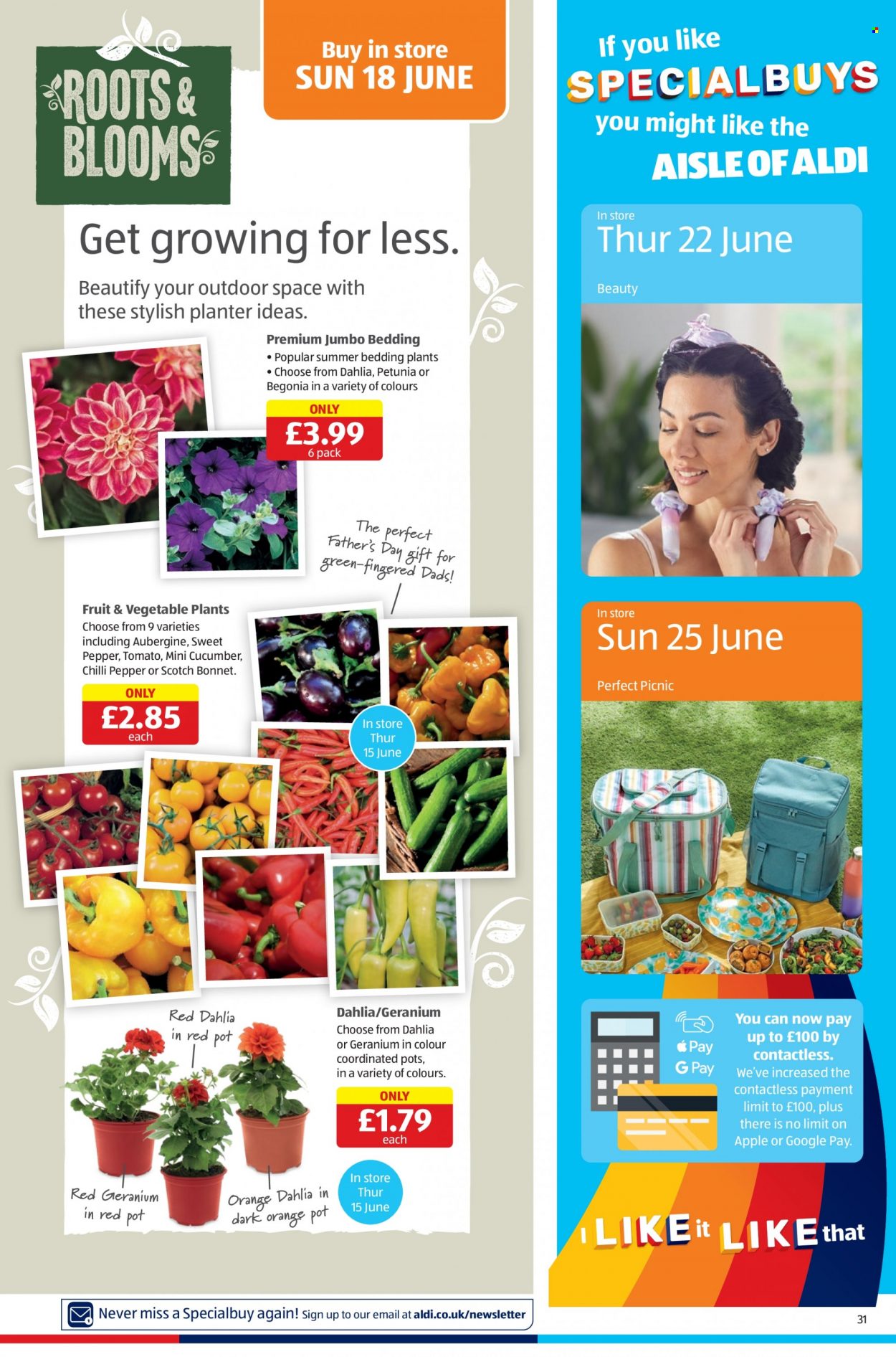 Aldi offer - 15/06/2023 - 18/06/2023. Page 31