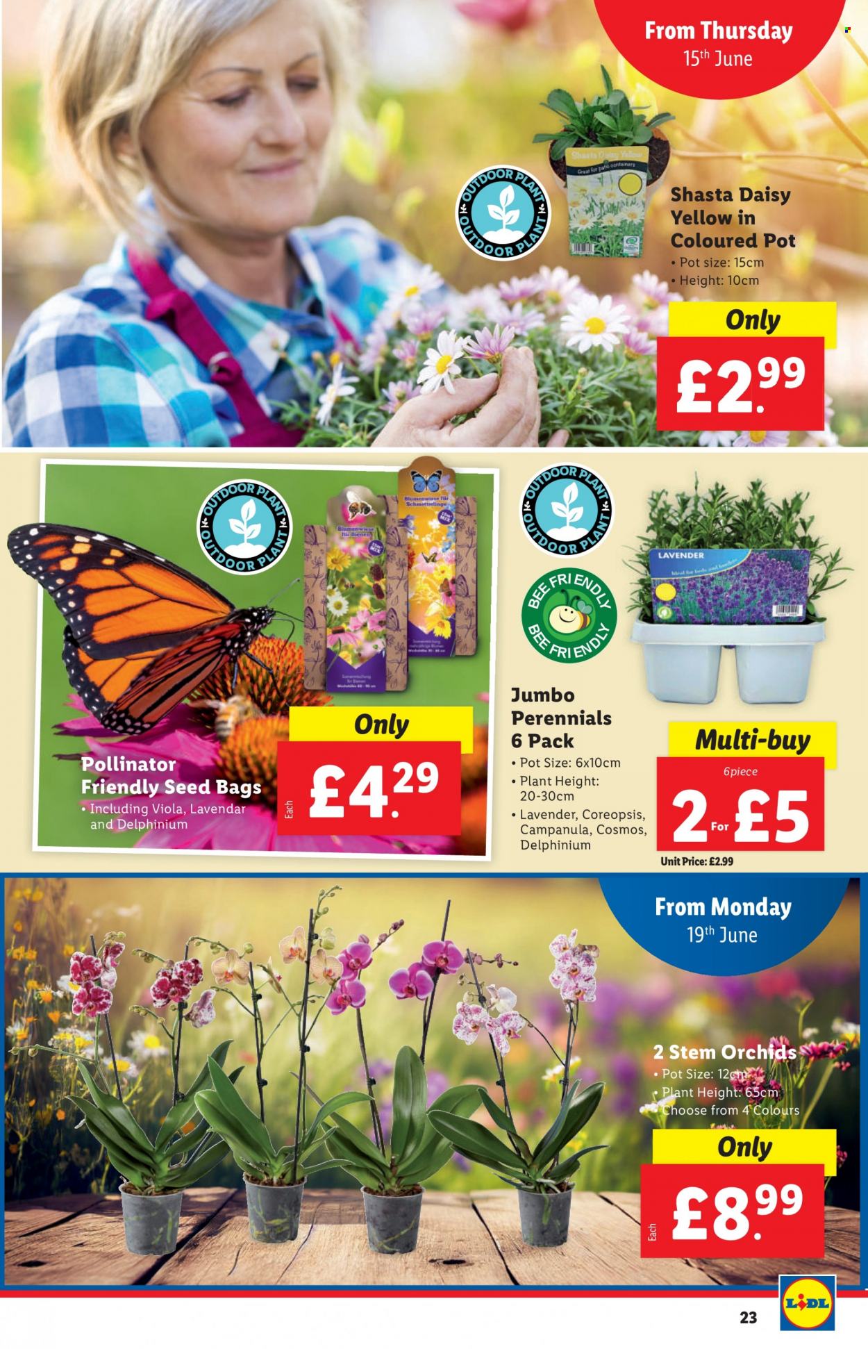 Lidl offer - 15/06/2023 - 21/06/2023. Page 23