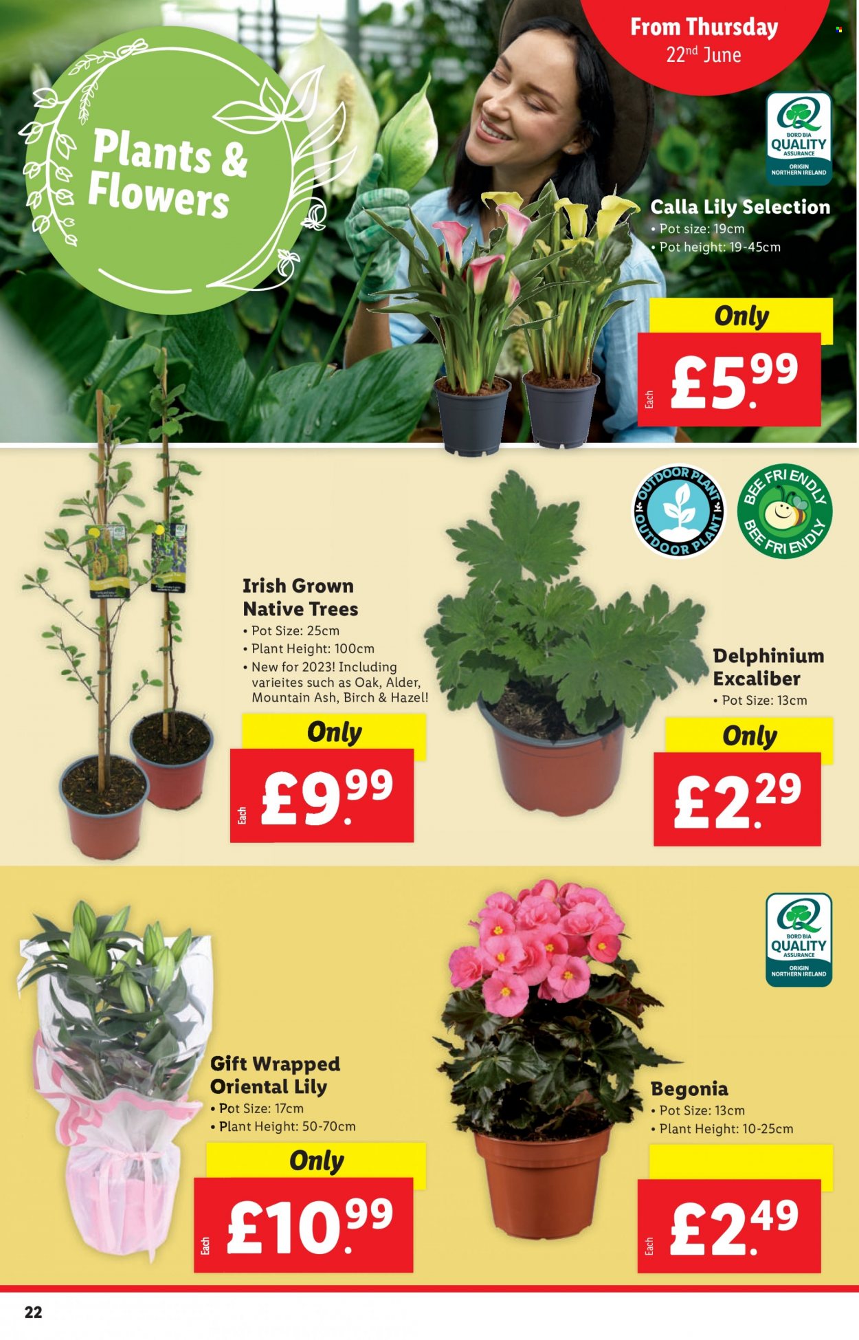 Lidl offer - 22/06/2023 - 28/06/2023. Page 22
