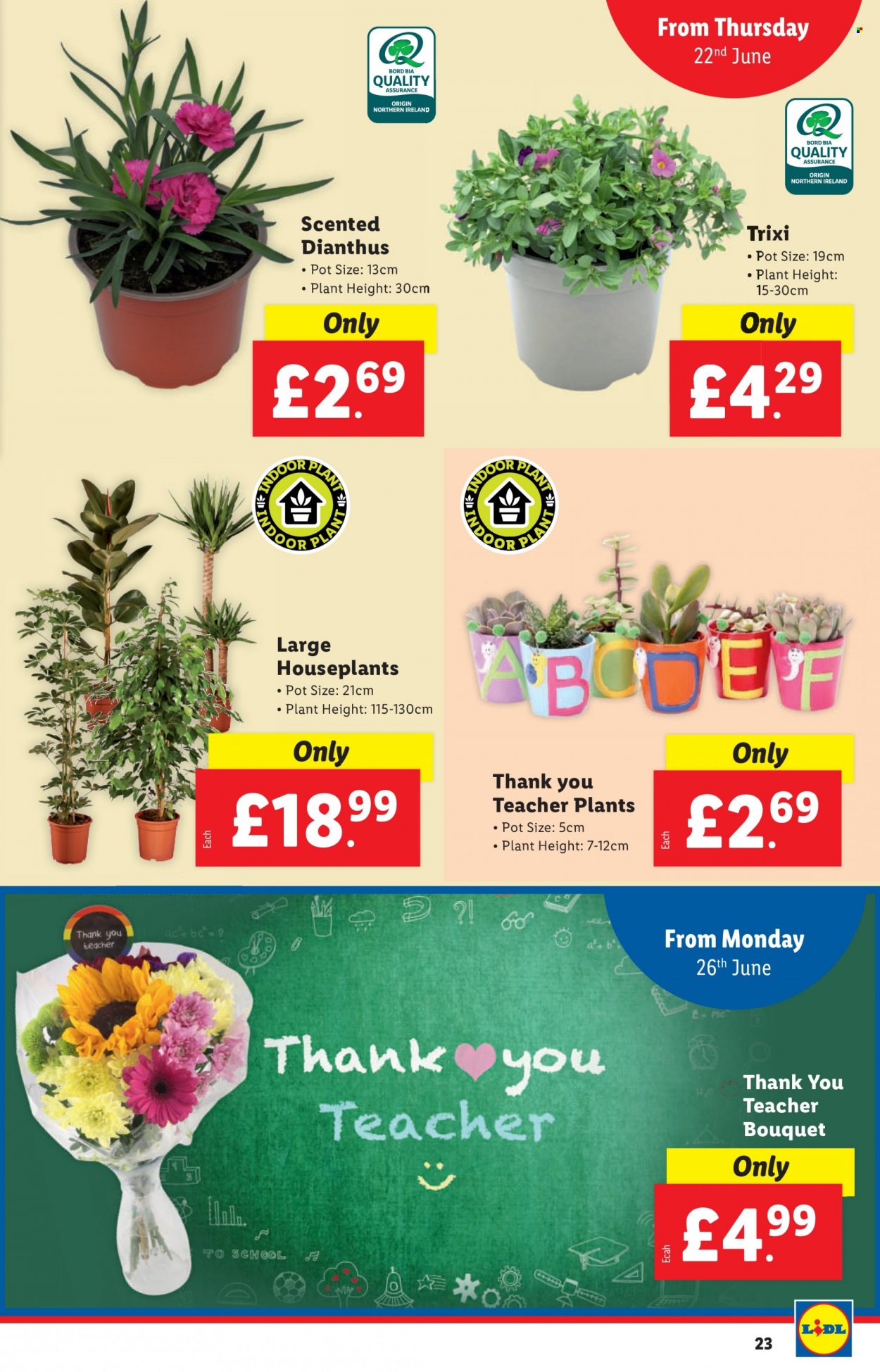 Lidl offer - 22/06/2023 - 28/06/2023. Page 23