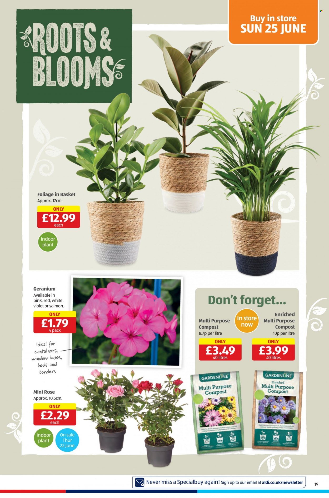 Aldi offer - 22/06/2023 - 25/06/2023. Page 19