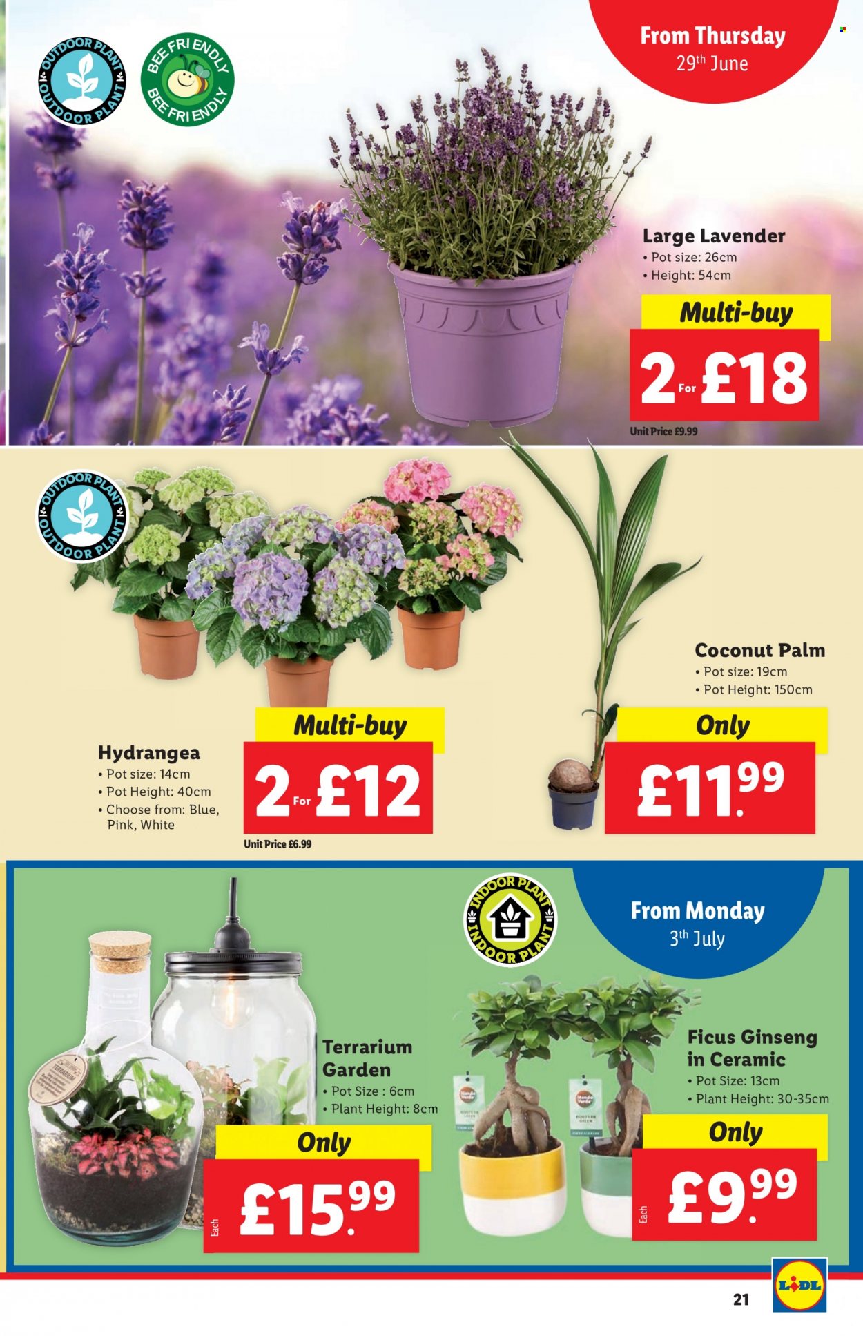 Lidl offer - 29/06/2023 - 05/07/2023. Page 21