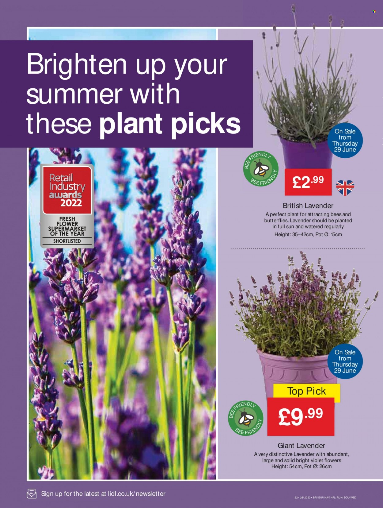 Lidl offer - 29/06/2023 - 05/07/2023. Page 30