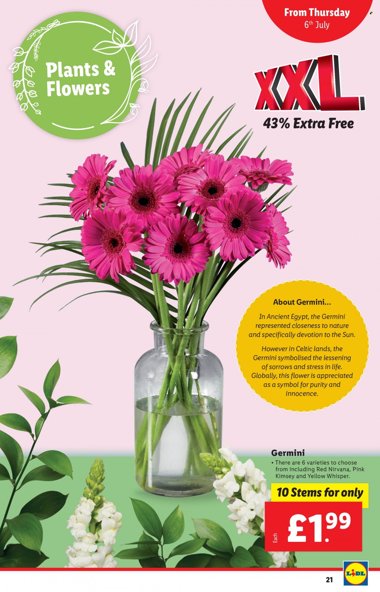 Lidl offer - 06/07/2023 - 12/07/2023. Page 21