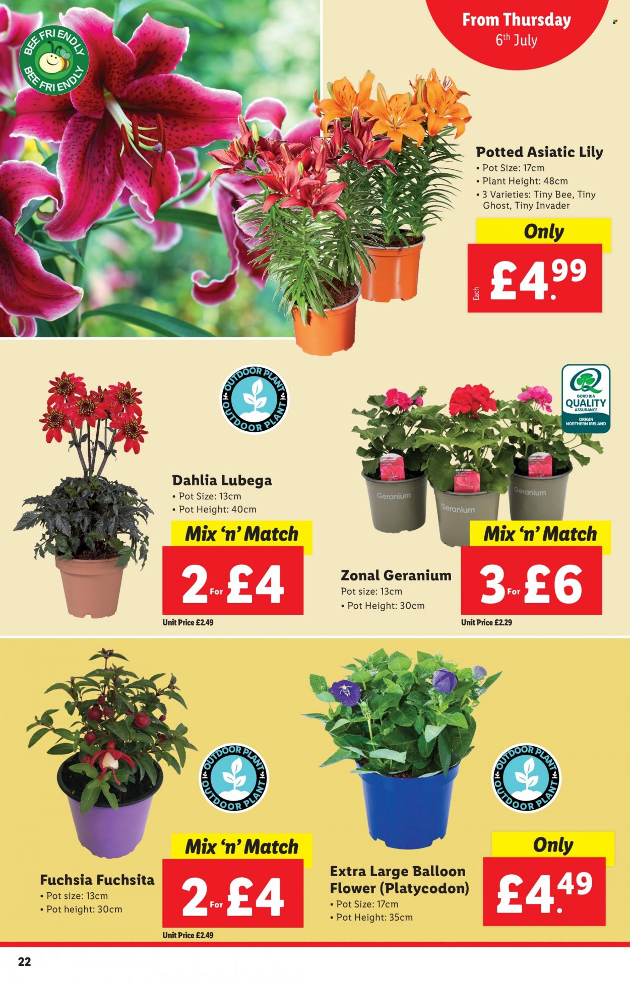 Lidl offer - 06/07/2023 - 12/07/2023. Page 22