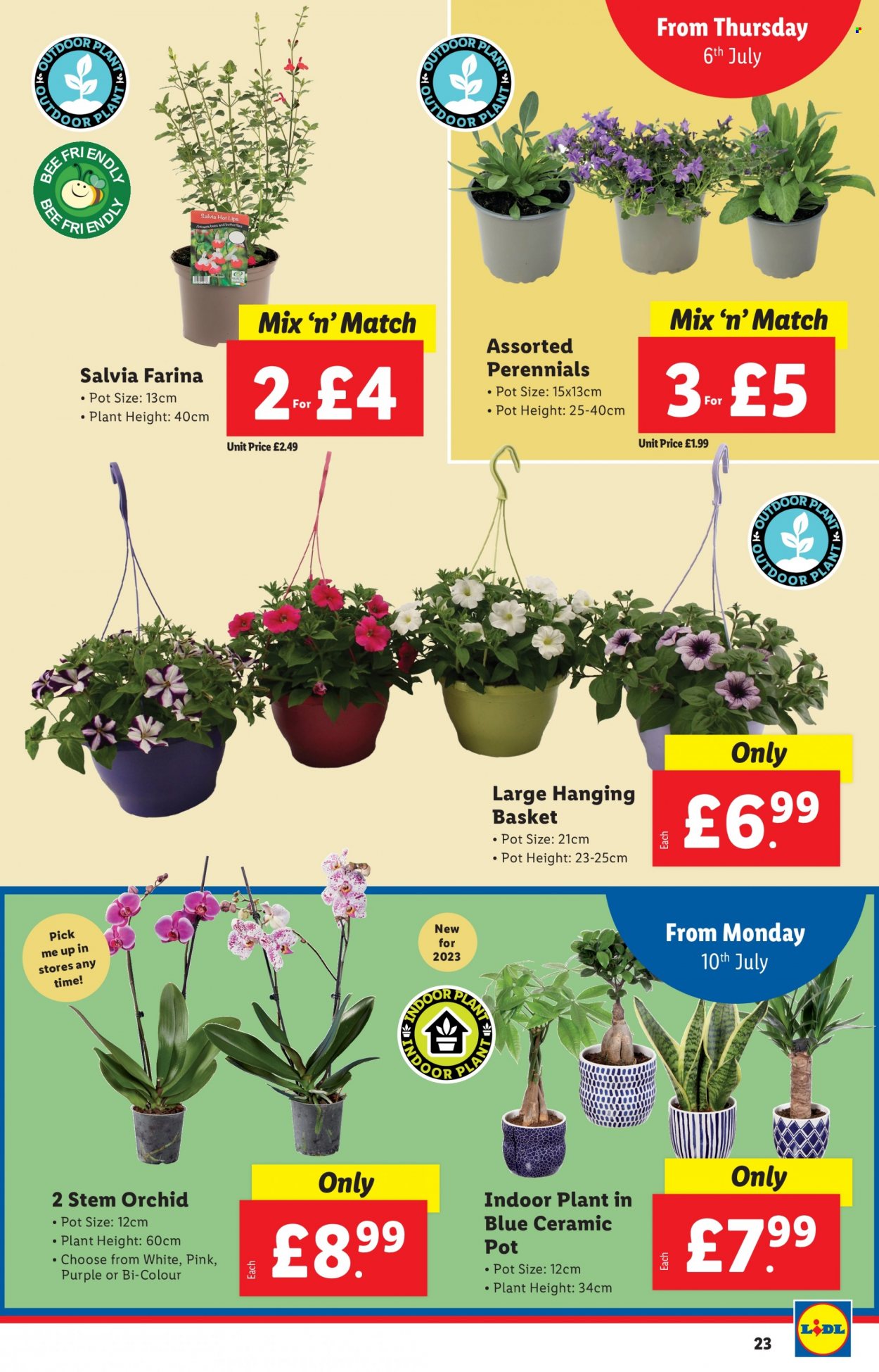 Lidl offer - 06/07/2023 - 12/07/2023. Page 23