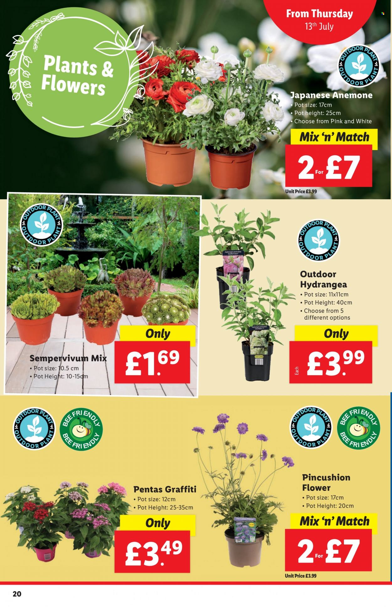Lidl offer - 13/07/2023 - 19/07/2023. Page 20