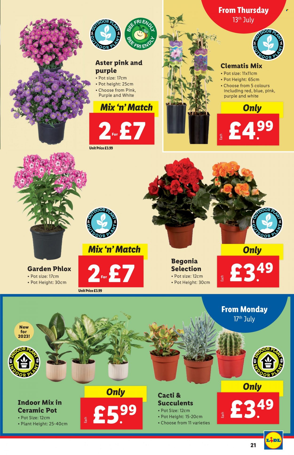 Lidl offer - 13/07/2023 - 19/07/2023. Page 21