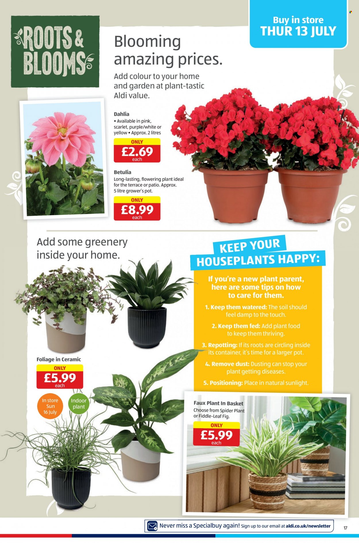 Aldi offer - 13/07/2023 - 16/07/2023. Page 17