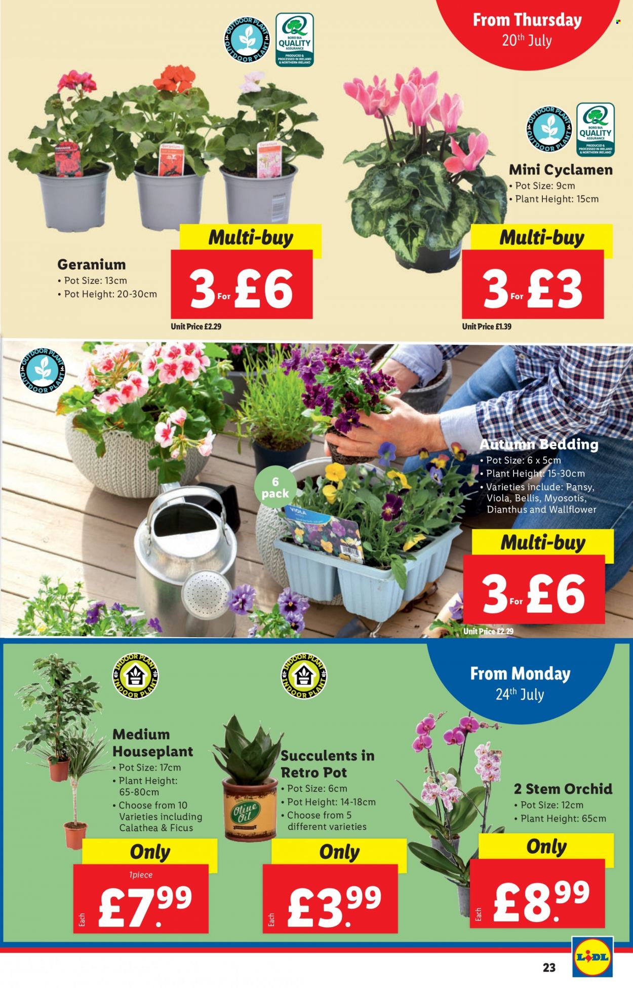 Lidl offer - 20/07/2023 - 26/07/2023. Page 23