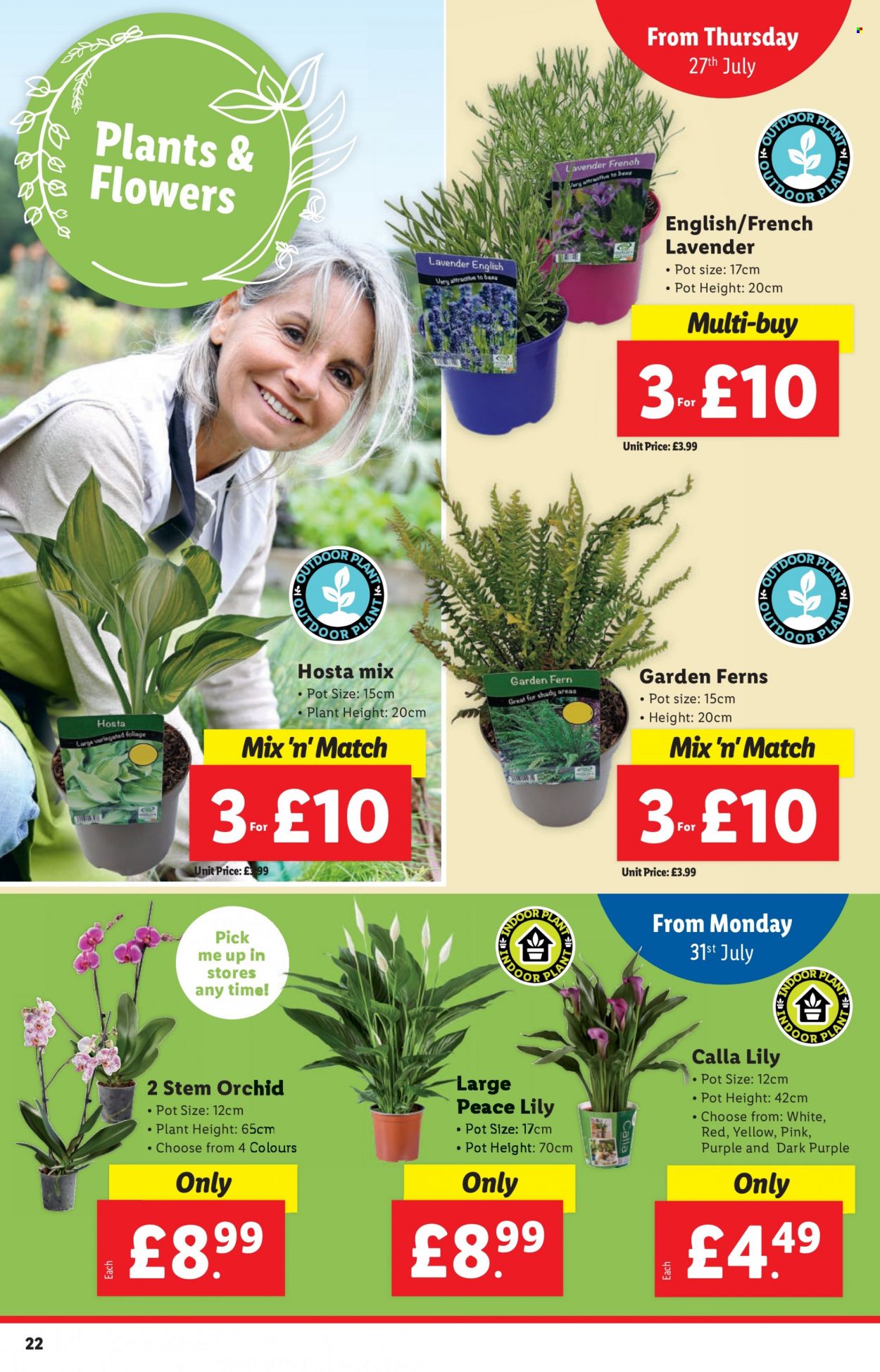 Lidl offer - 27/07/2023 - 02/08/2023. Page 22