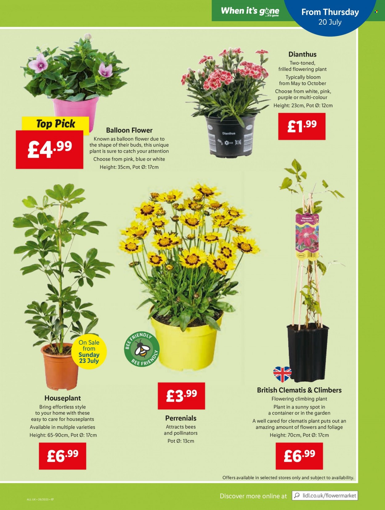 Lidl offer - 20/07/2023 - 26/07/2023. Page 15