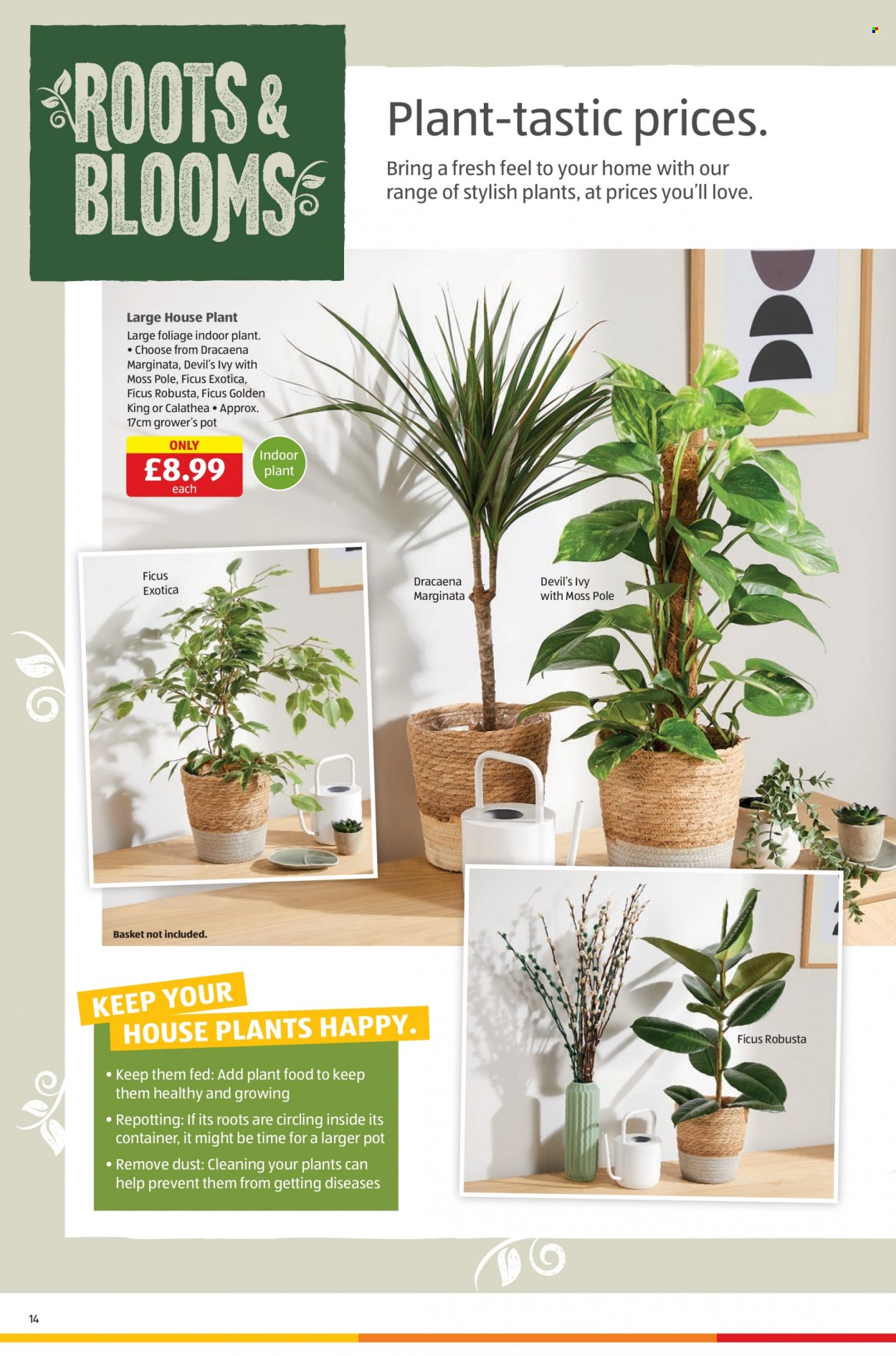 Aldi offer - 27/07/2023 - 30/07/2023. Page 14