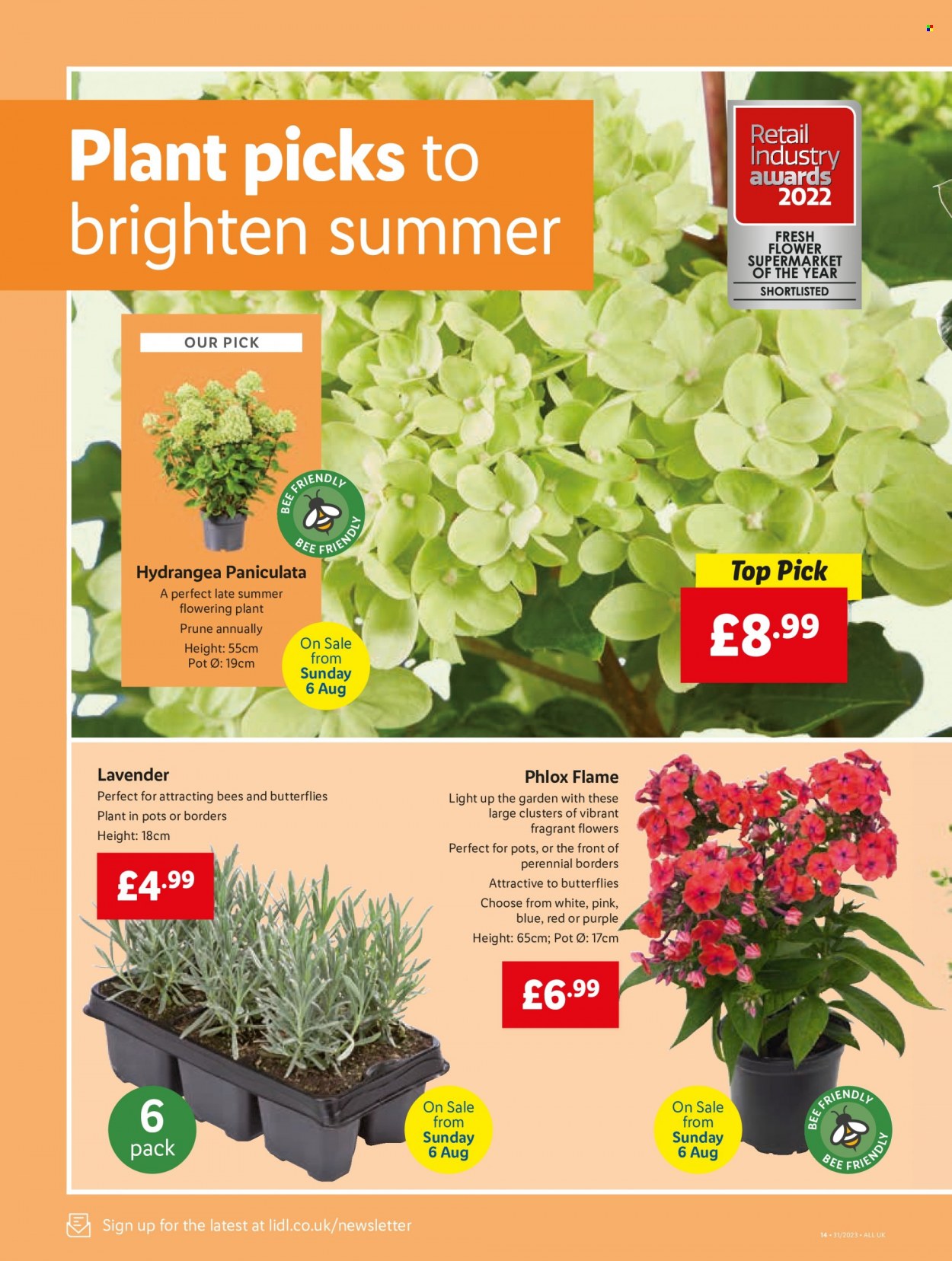 Lidl offer - 03/08/2023 - 09/08/2023. Page 18