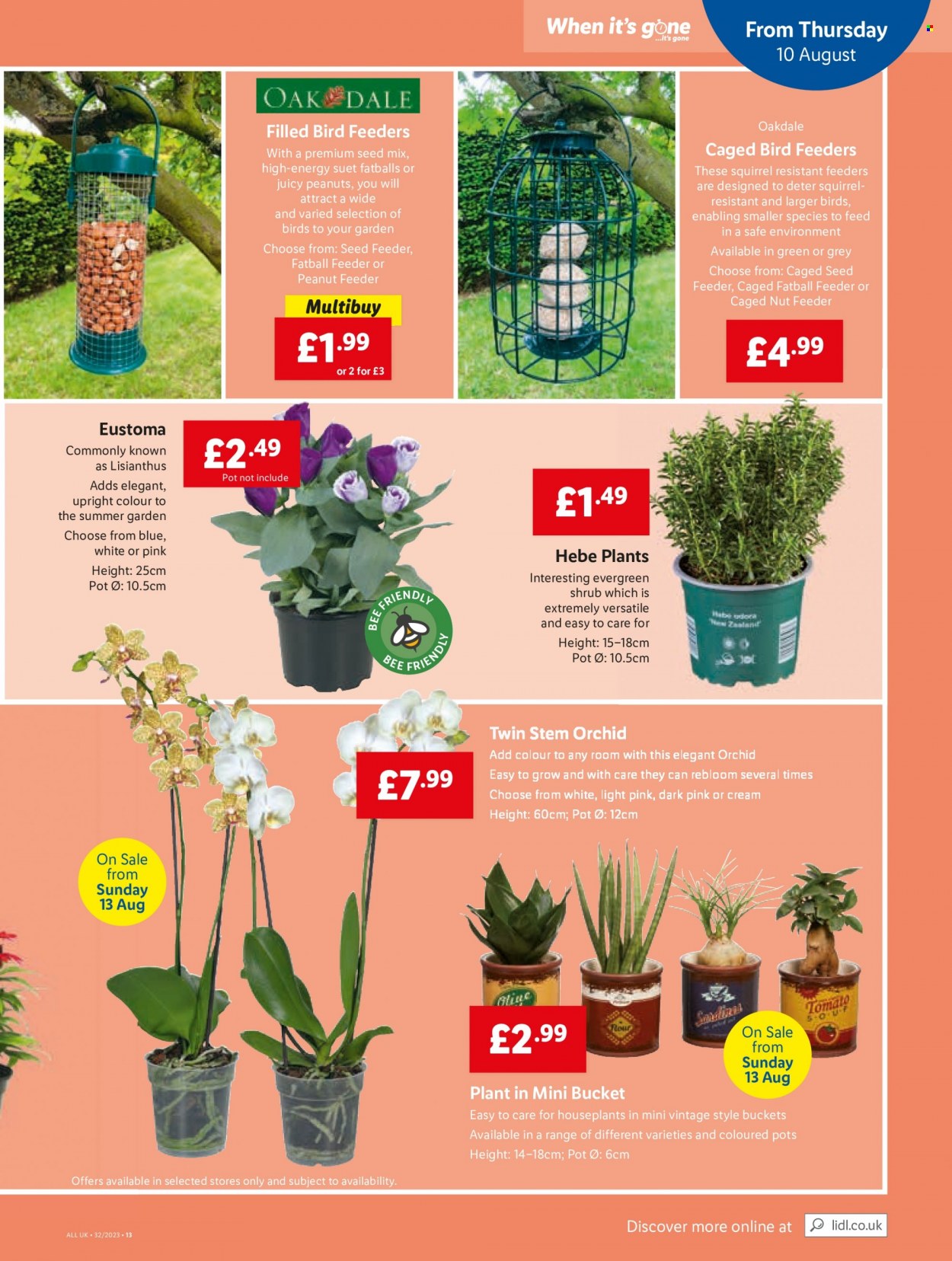 Lidl offer - 10/08/2023 - 16/08/2023. Page 17