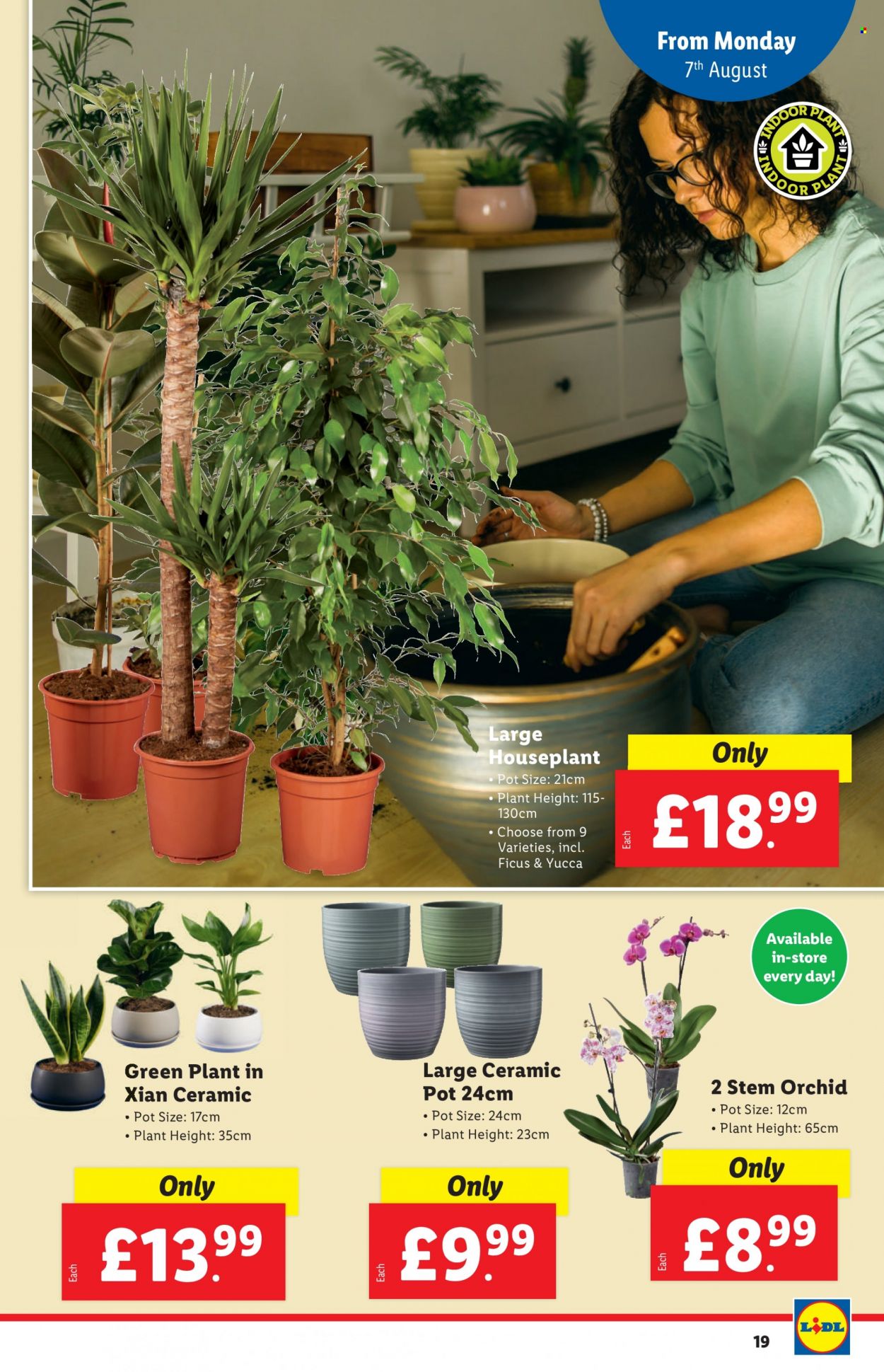 Lidl offer - 03/08/2023 - 09/08/2023. Page 19