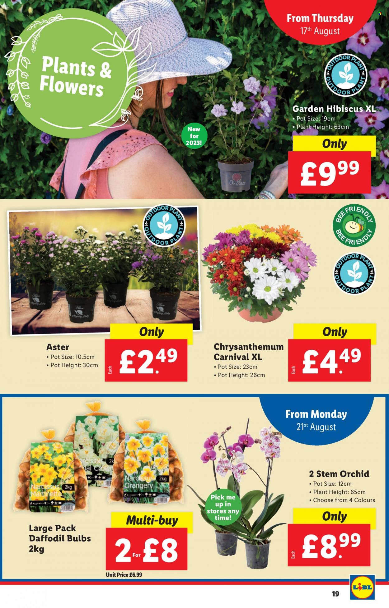 Lidl offer - 17/08/2023 - 23/08/2023. Page 19
