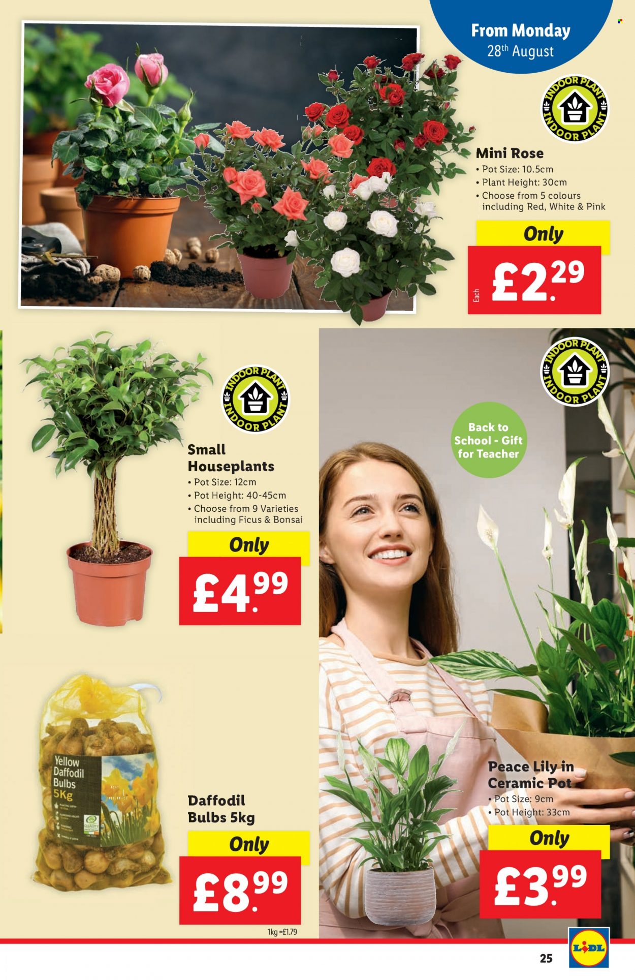 Lidl offer - 24/08/2023 - 30/08/2023. Page 25